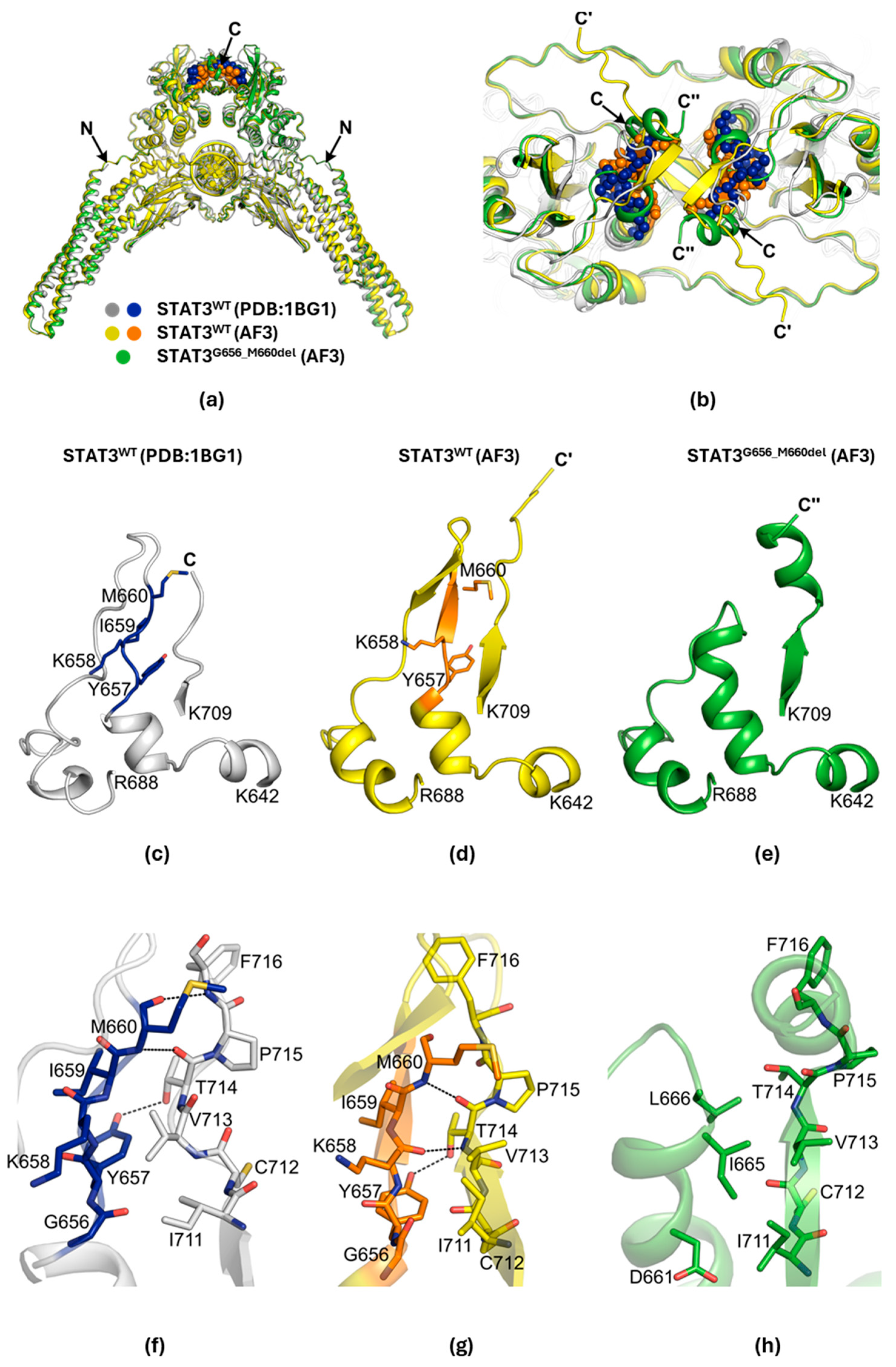 Ijms 26 07675 g002 Ijms 26 07675 g002