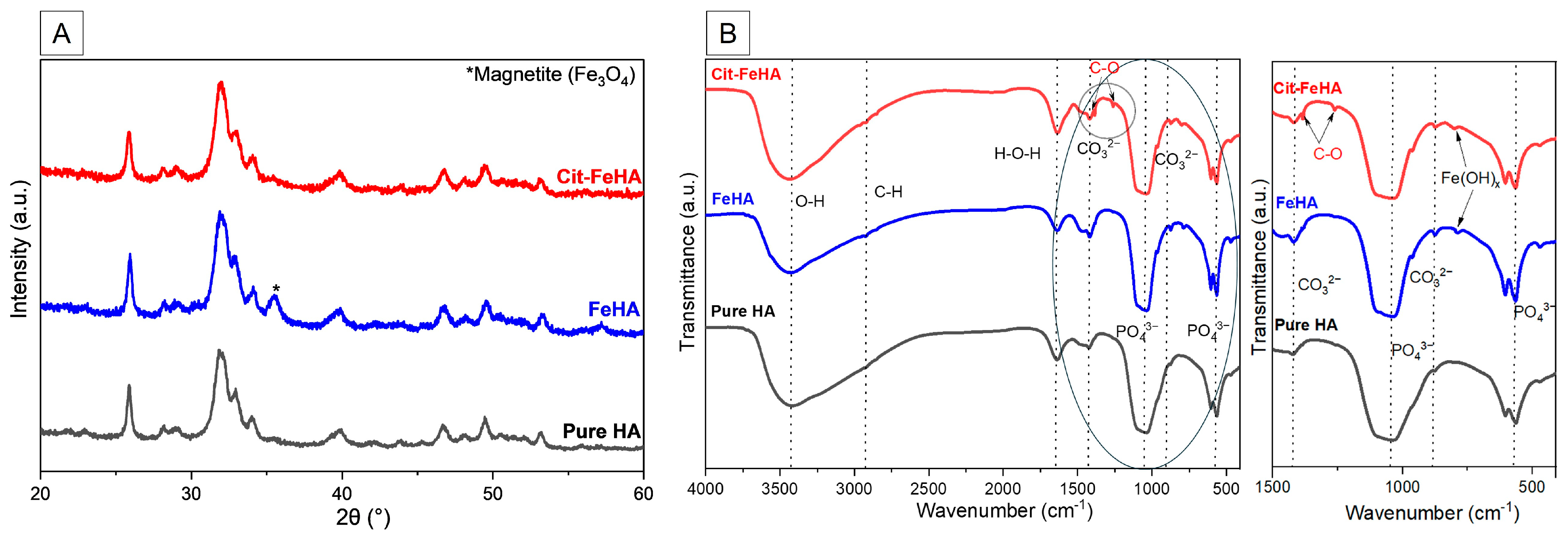 Ijms 26 07712 g001 Ijms 26 07712 g001