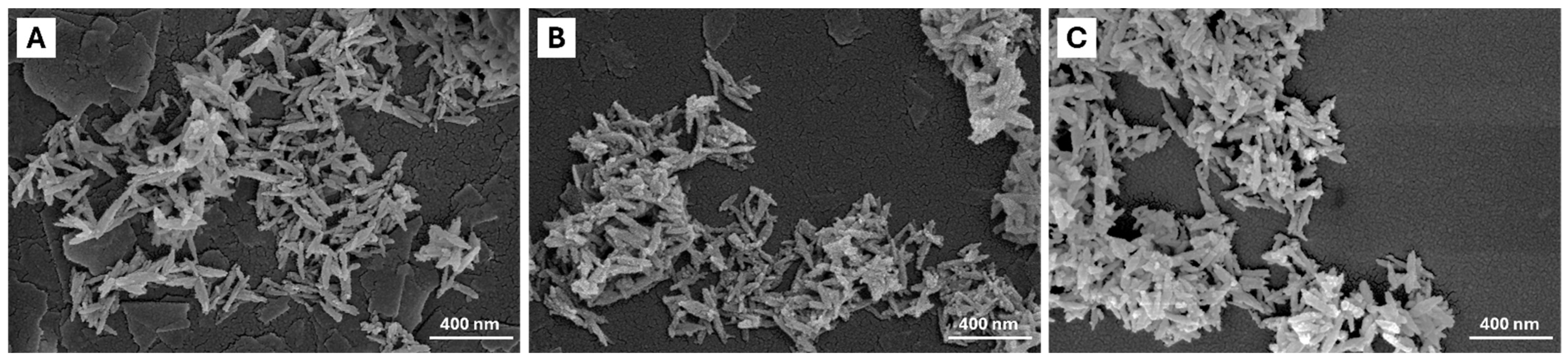 Ijms 26 07712 g003 Ijms 26 07712 g003