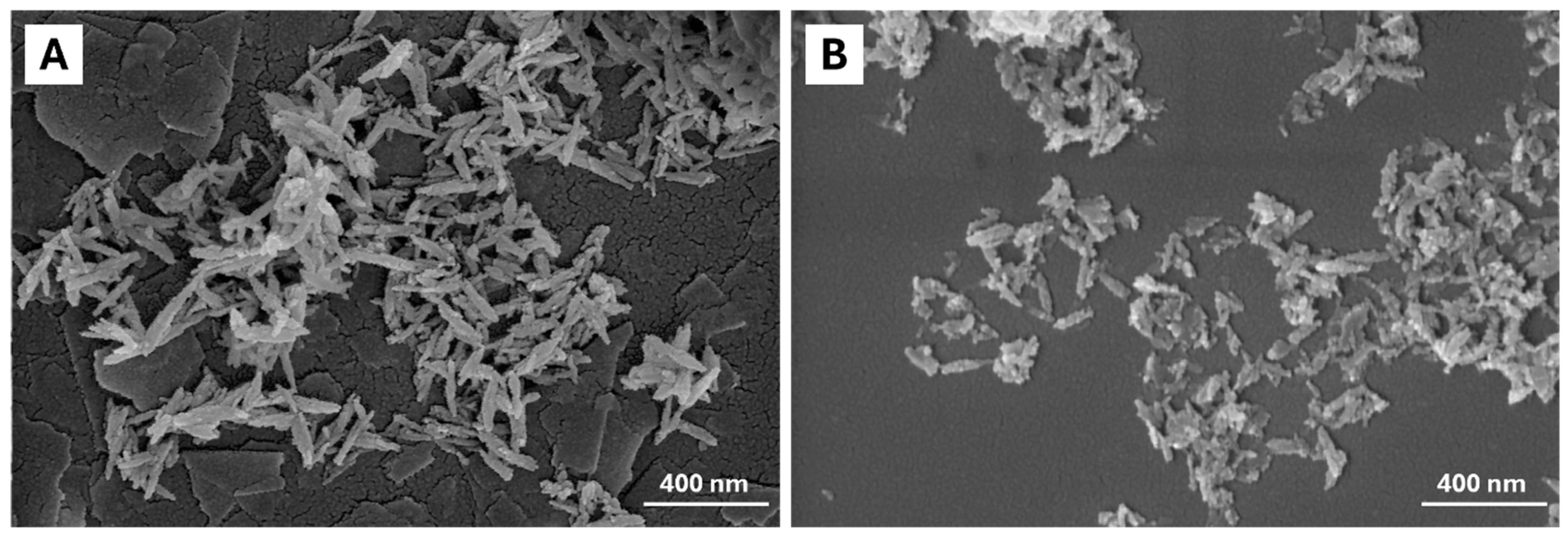 Ijms 26 07712 g007 Ijms 26 07712 g007