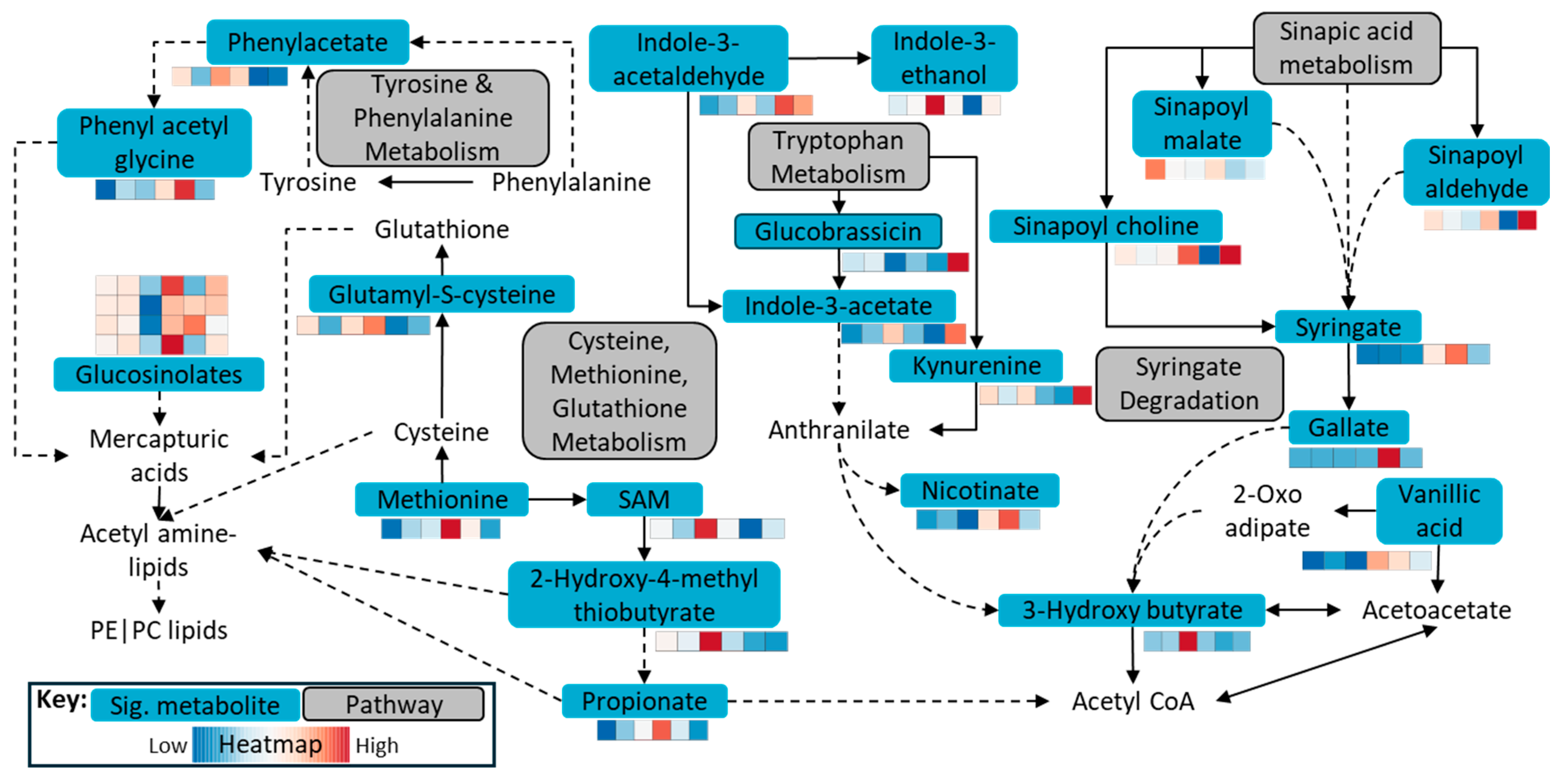 Ijms 26 07715 g005 Ijms 26 07715 g005