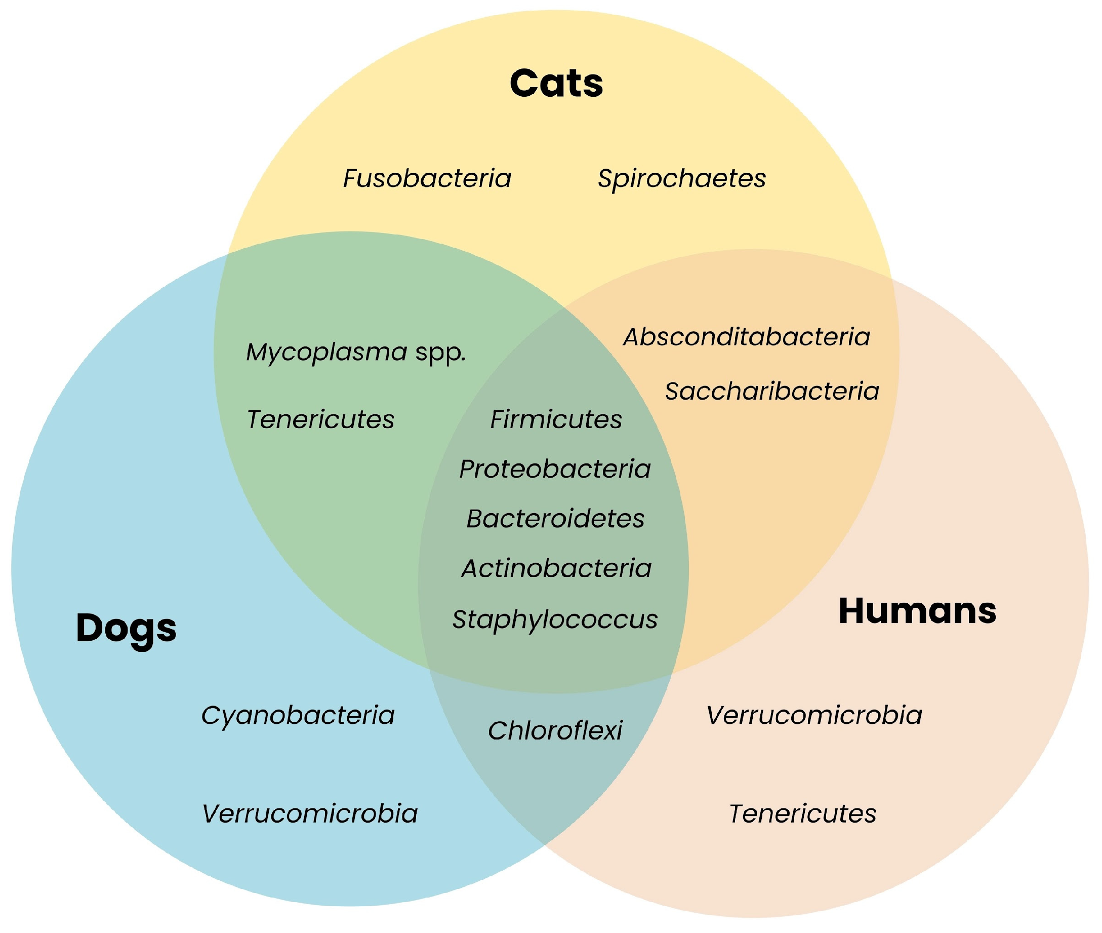 Ijms 26 07717 g001 Ijms 26 07717 g001