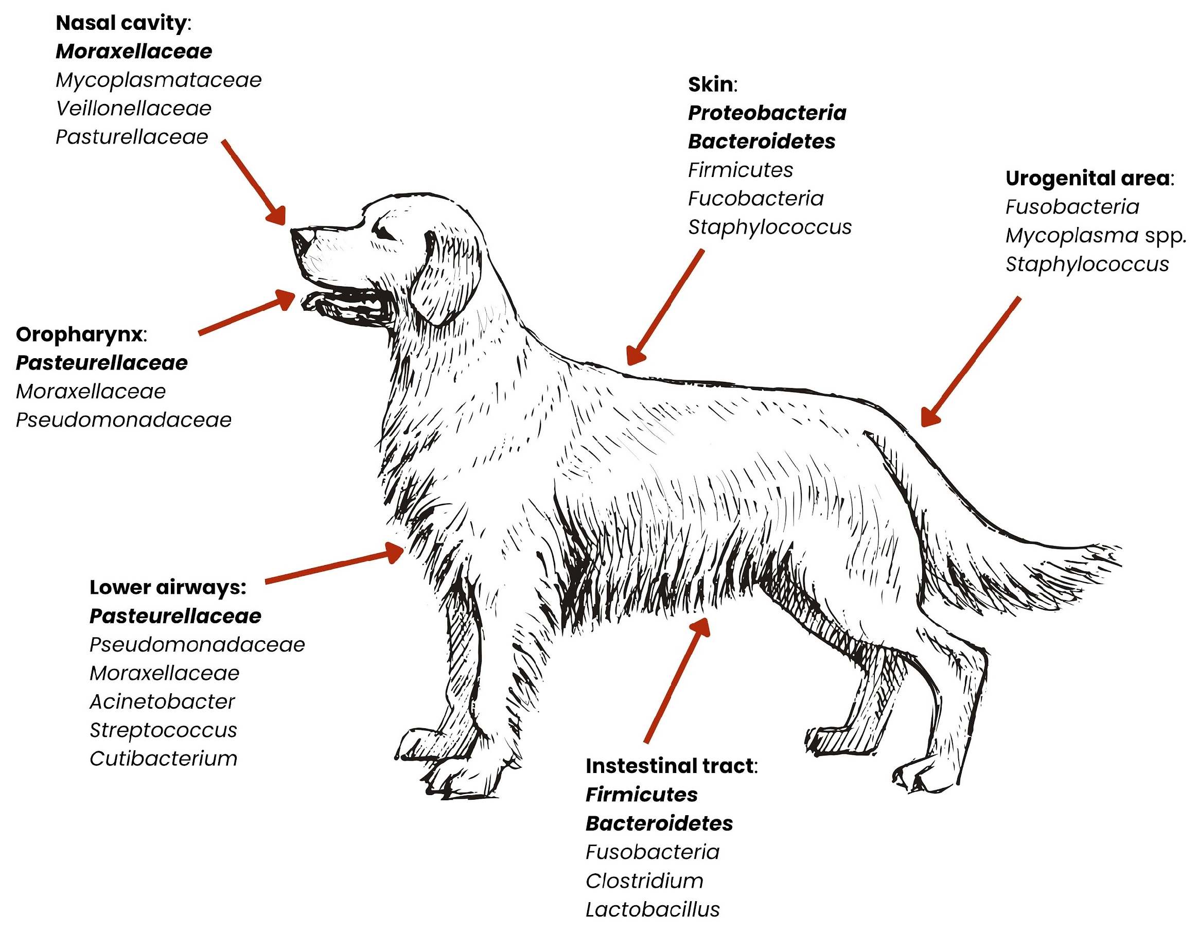 Ijms 26 07717 g003 Ijms 26 07717 g003