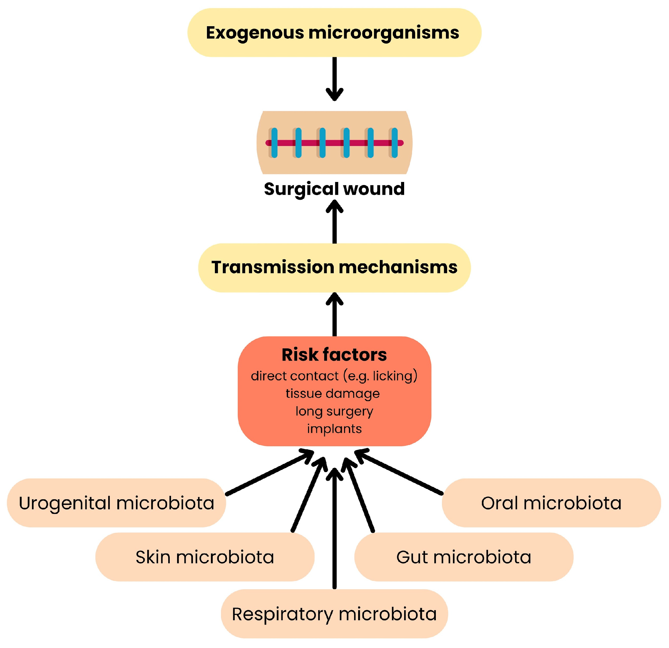 Ijms 26 07717 g007 Ijms 26 07717 g007