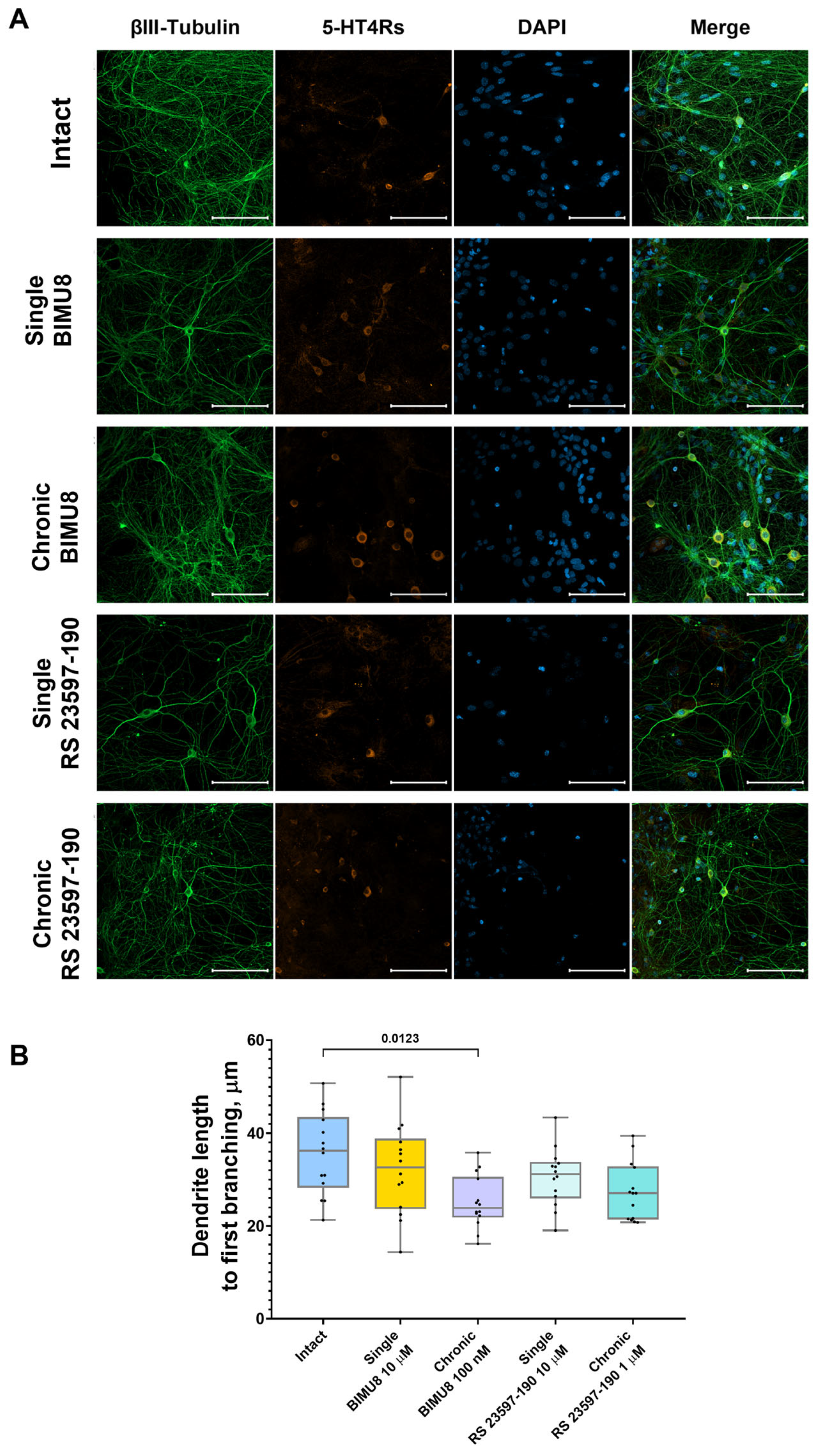 Ijms 26 07718 g006 Ijms 26 07718 g006