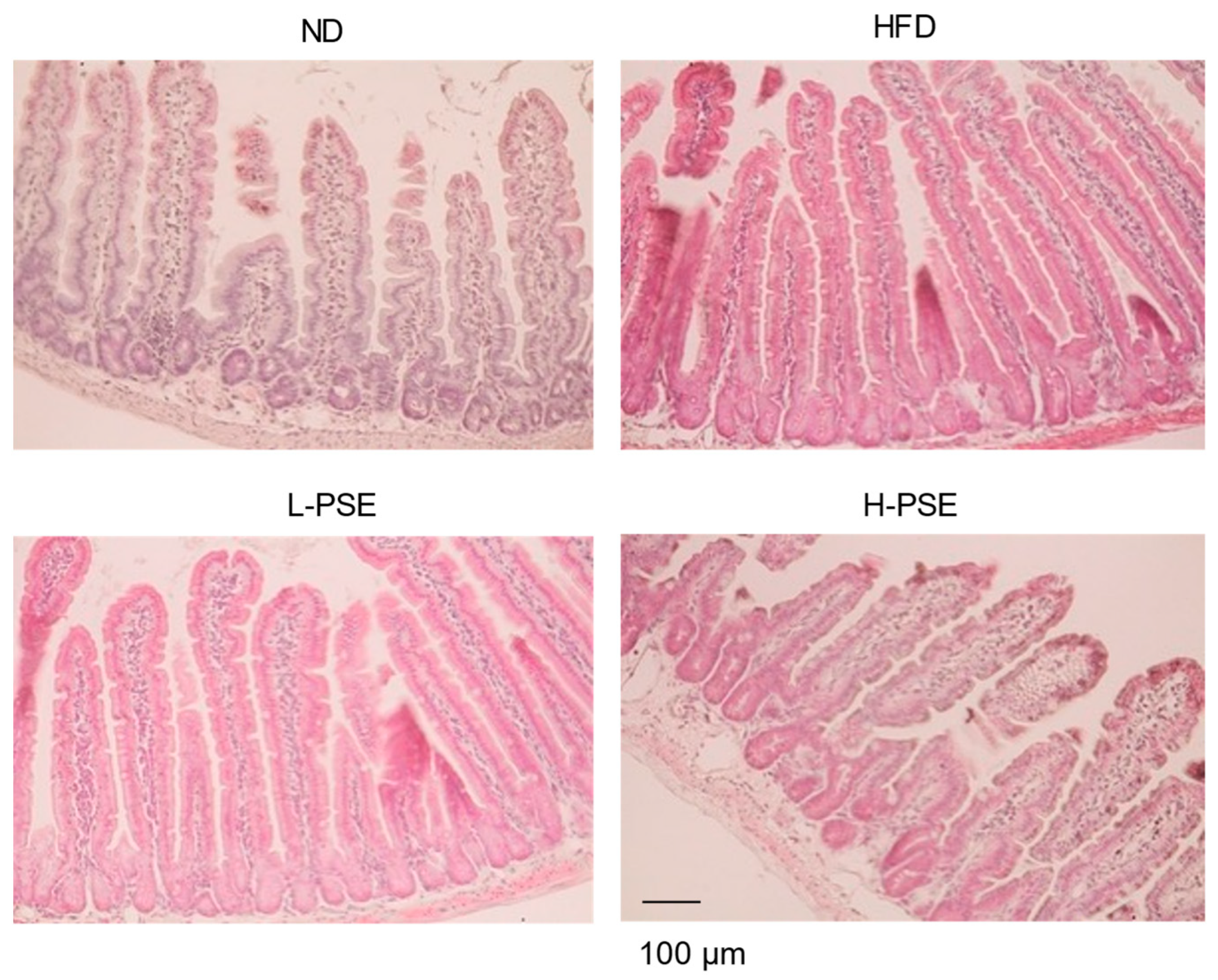 Ijms 26 07719 g003 Ijms 26 07719 g003