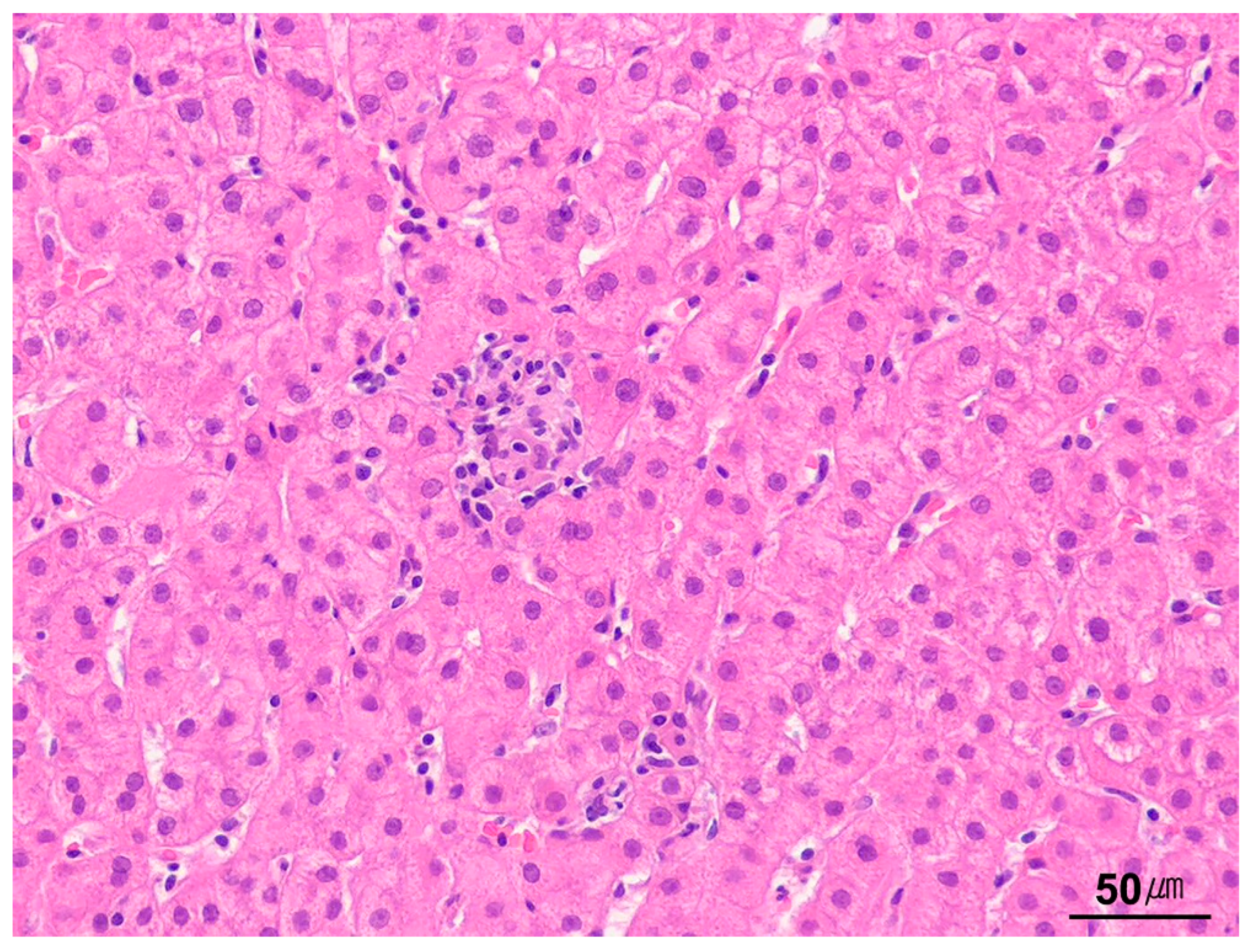 Ijms 26 07729 g009 Ijms 26 07729 g009