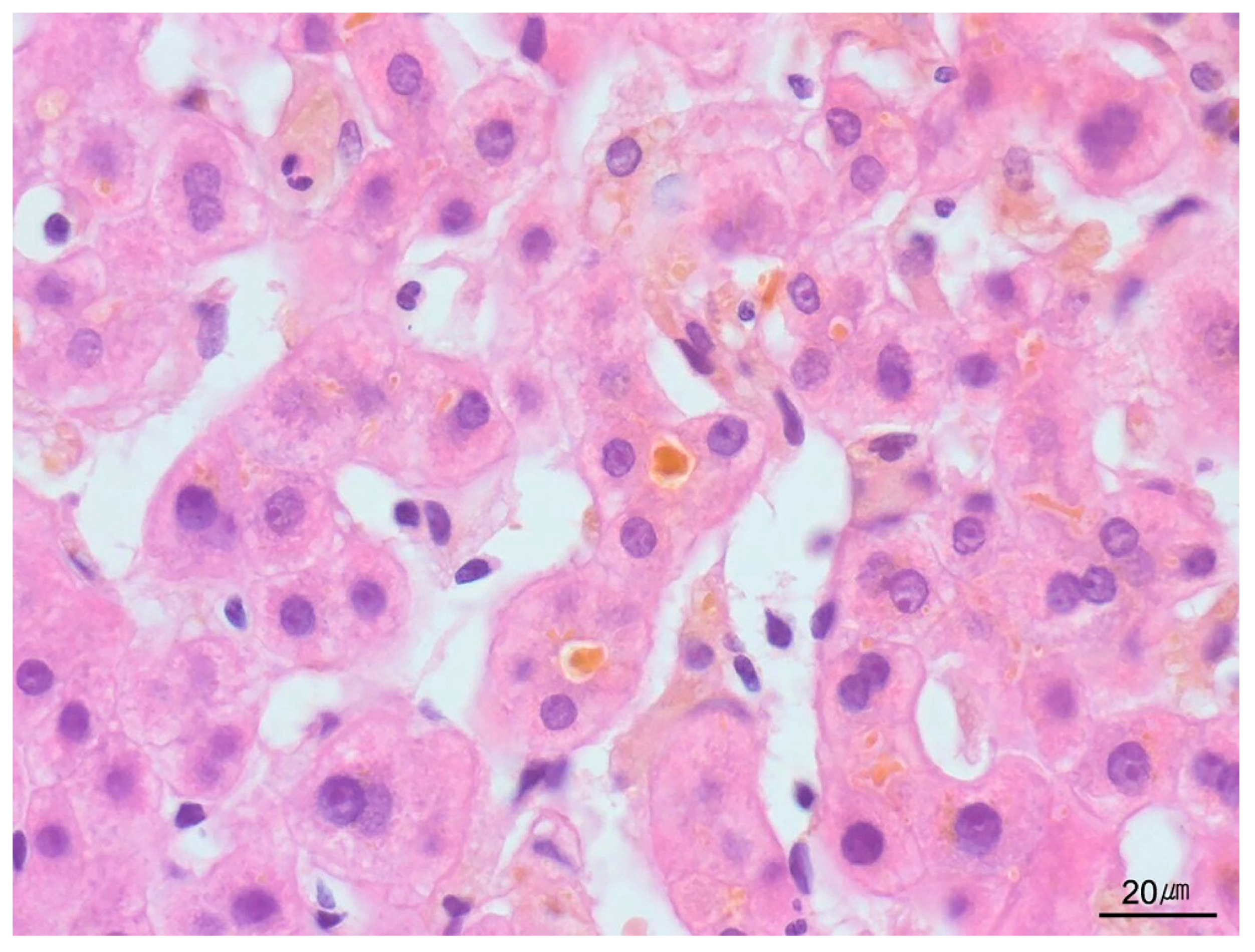 Ijms 26 07729 g018 Ijms 26 07729 g018