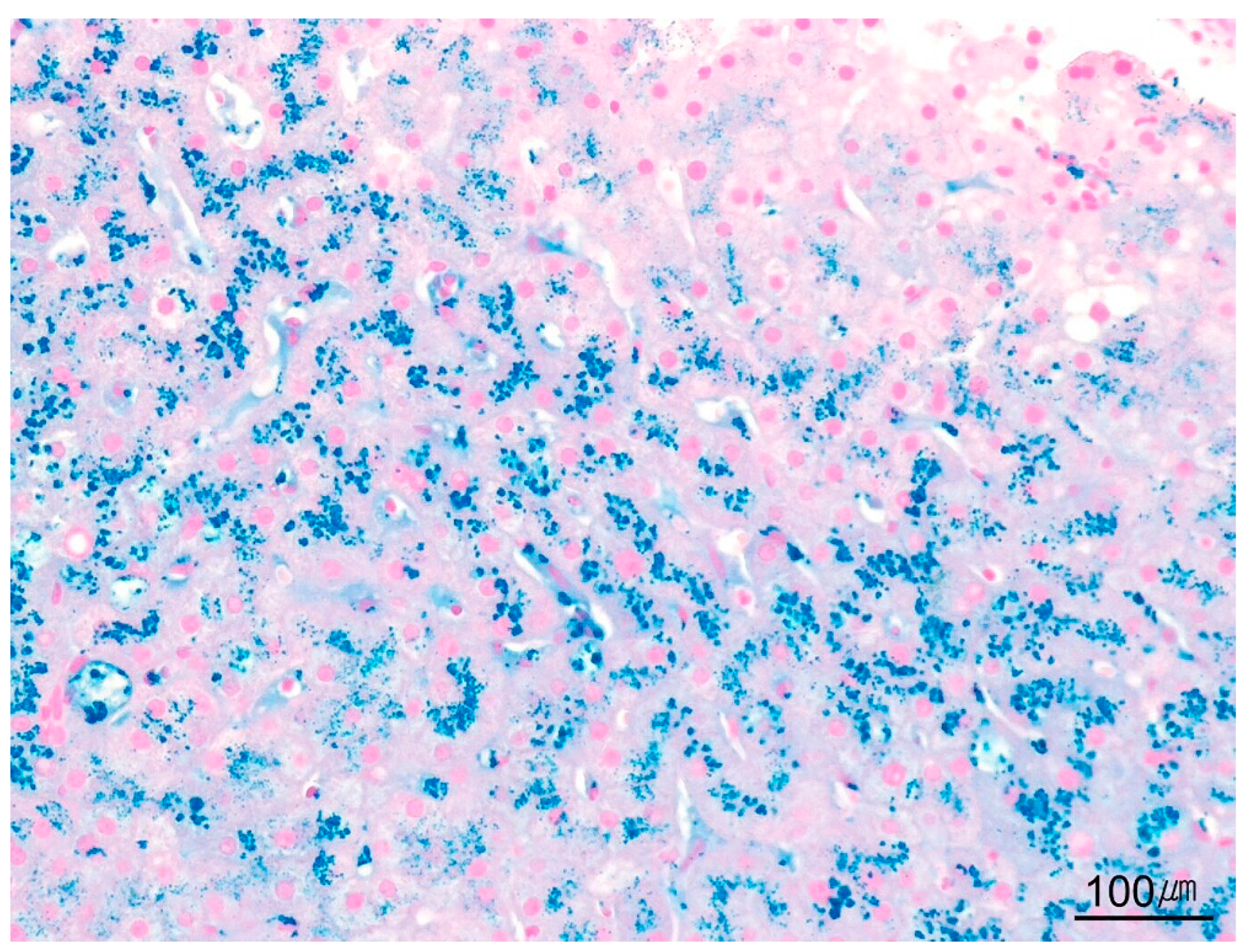 Ijms 26 07729 g019 Ijms 26 07729 g019