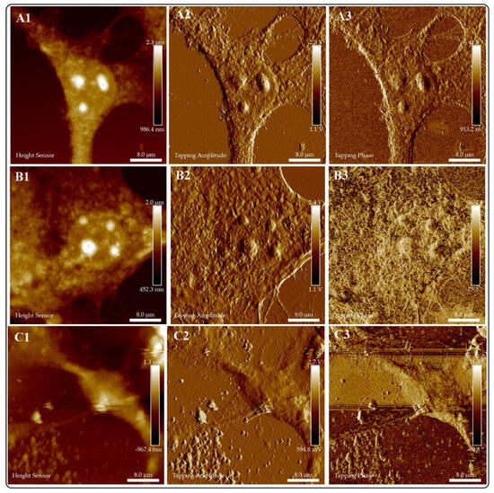 Evaluation of CoFe2O4-L-Au (L: Citrate, Glycine) as