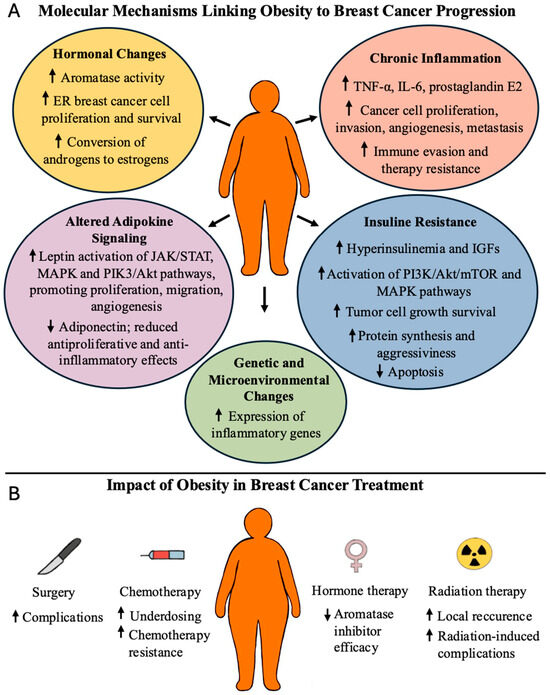 can retatrutide cause cancer GLP-1 Receptor Agonists in Breast Cancer: A New Frontier in Obesity and  Prognosis Management