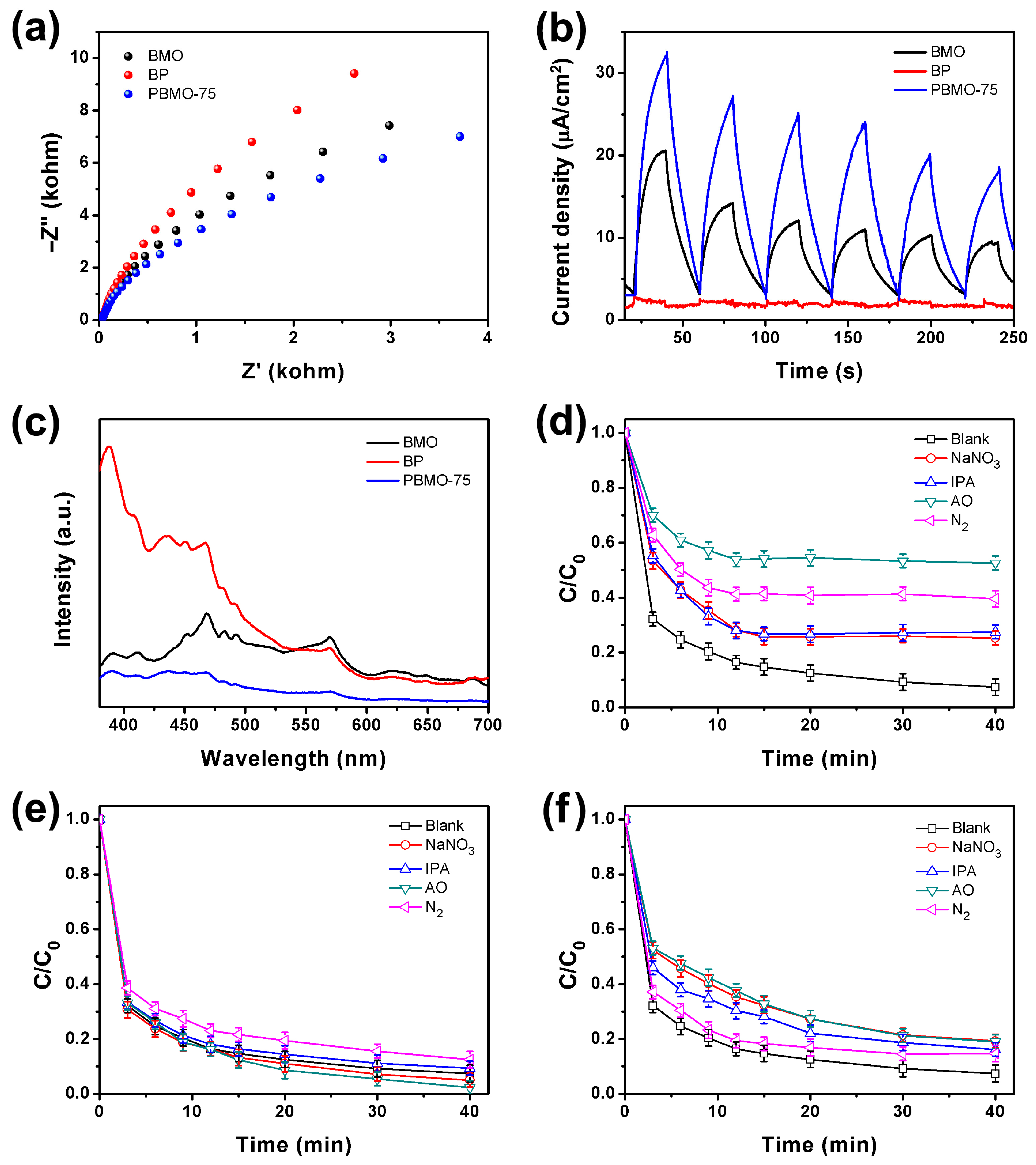 Ijms 26 07751 g007 Ijms 26 07751 g007