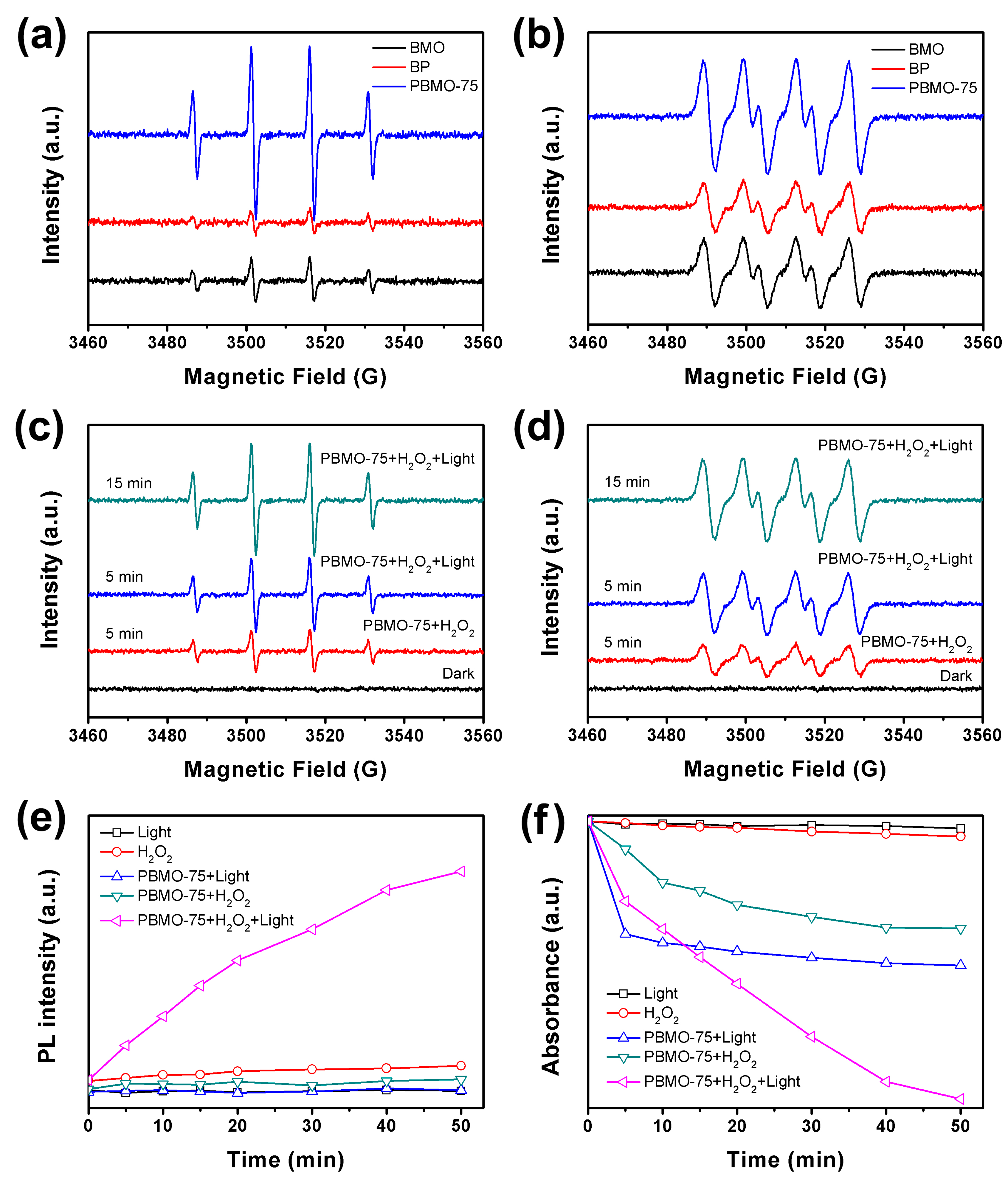 Ijms 26 07751 g008 Ijms 26 07751 g008