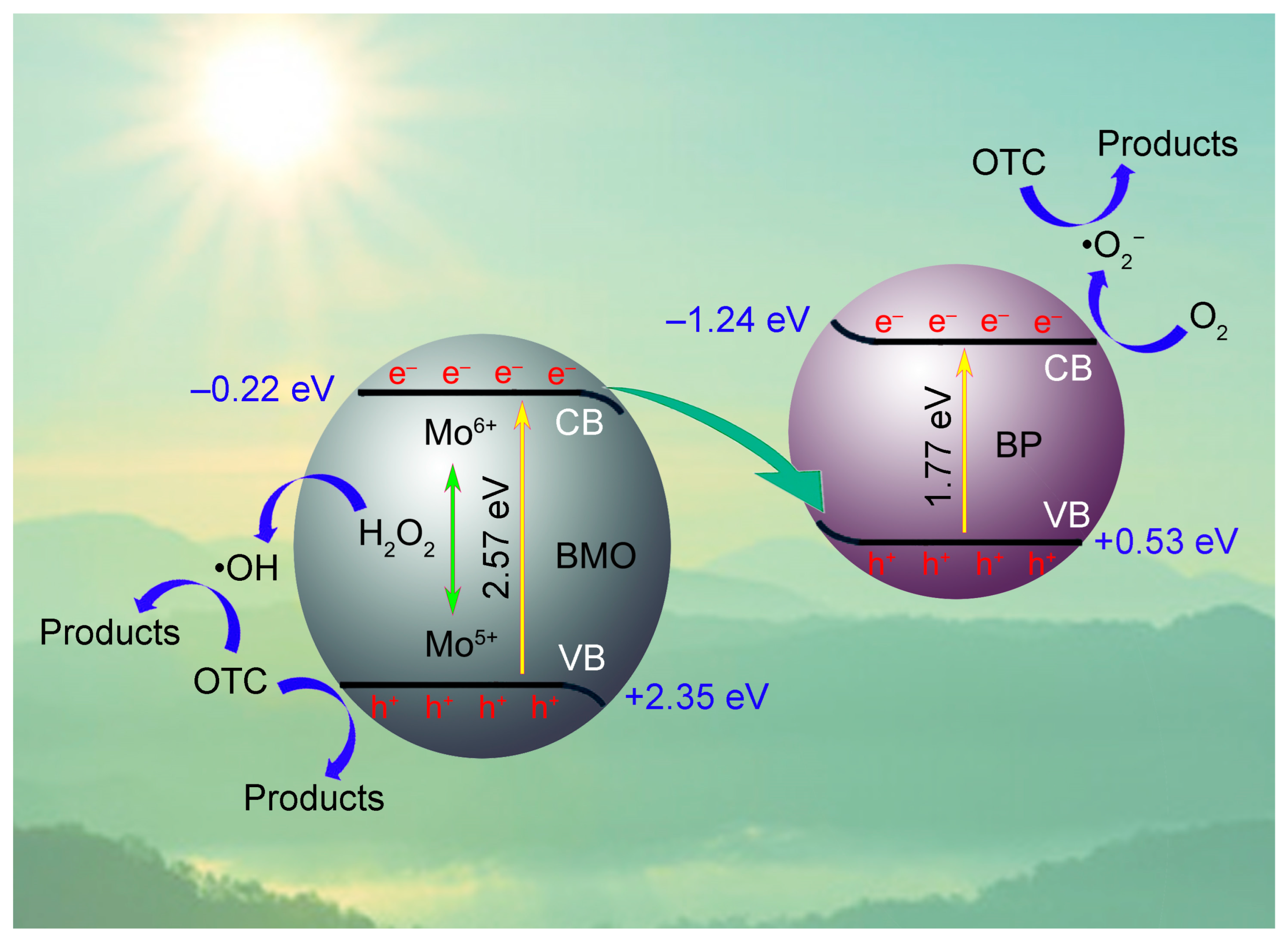 Ijms 26 07751 g010 Ijms 26 07751 g010