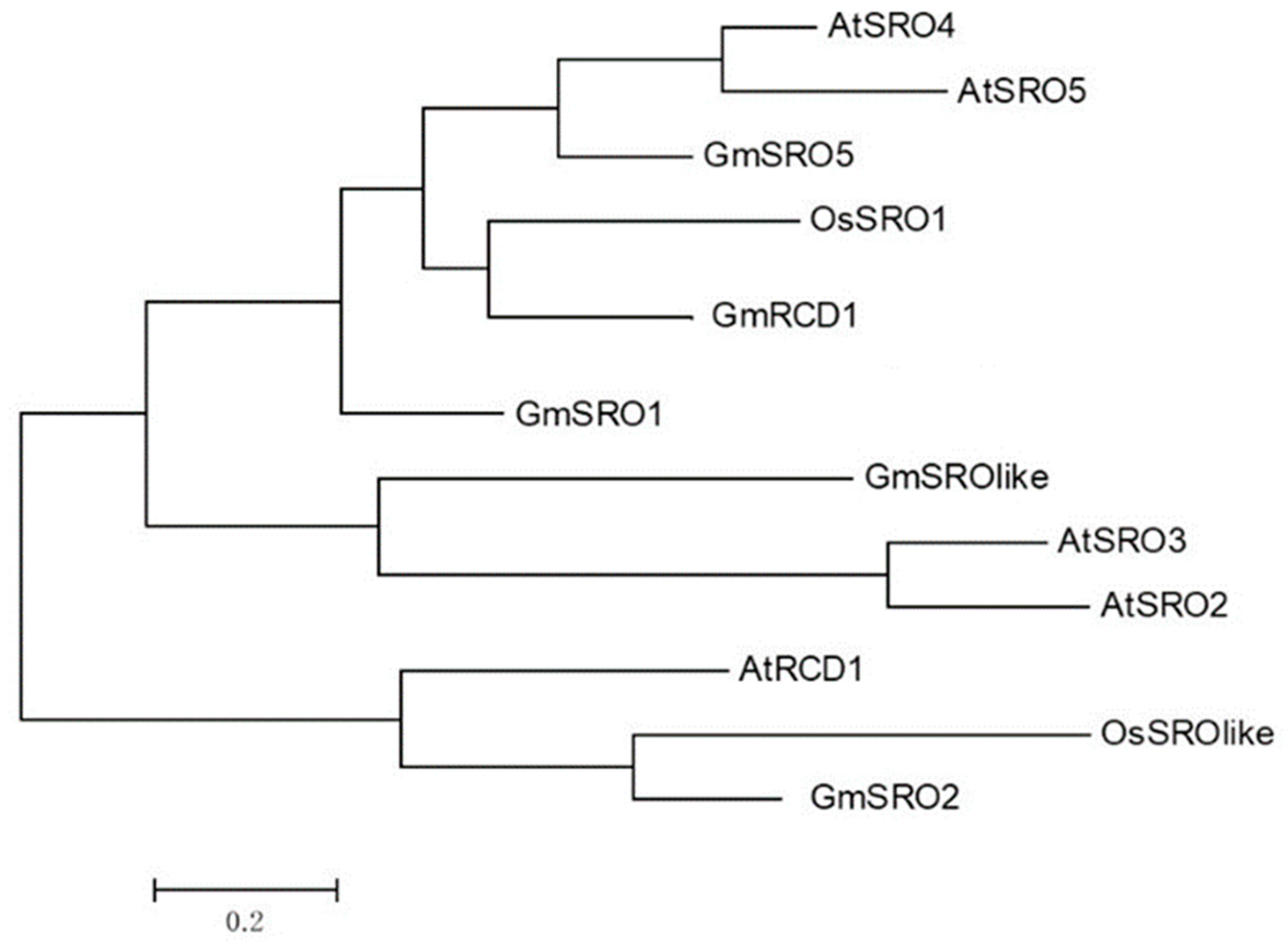 Ijms 26 07760 g001 Ijms 26 07760 g001