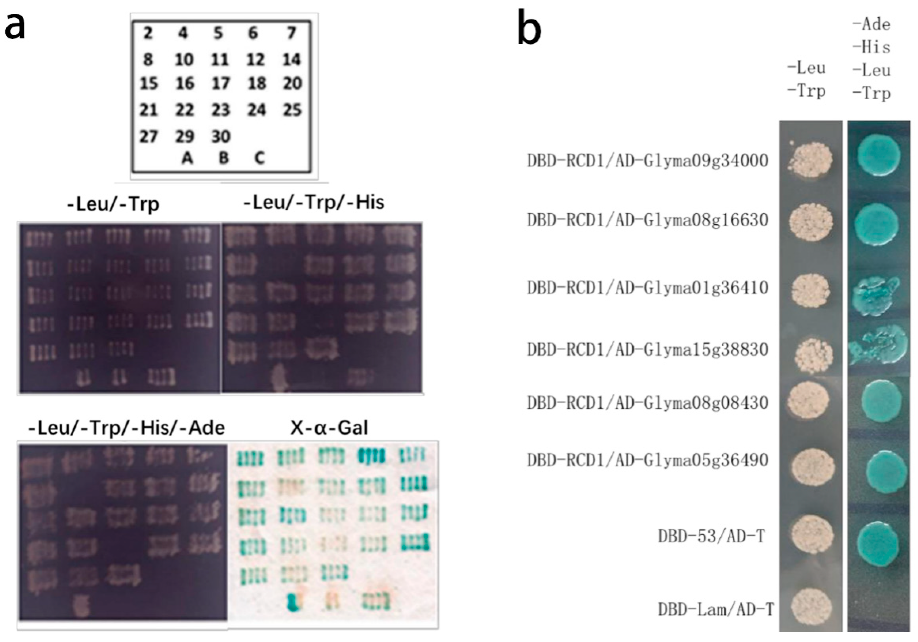 Ijms 26 07760 g002 Ijms 26 07760 g002