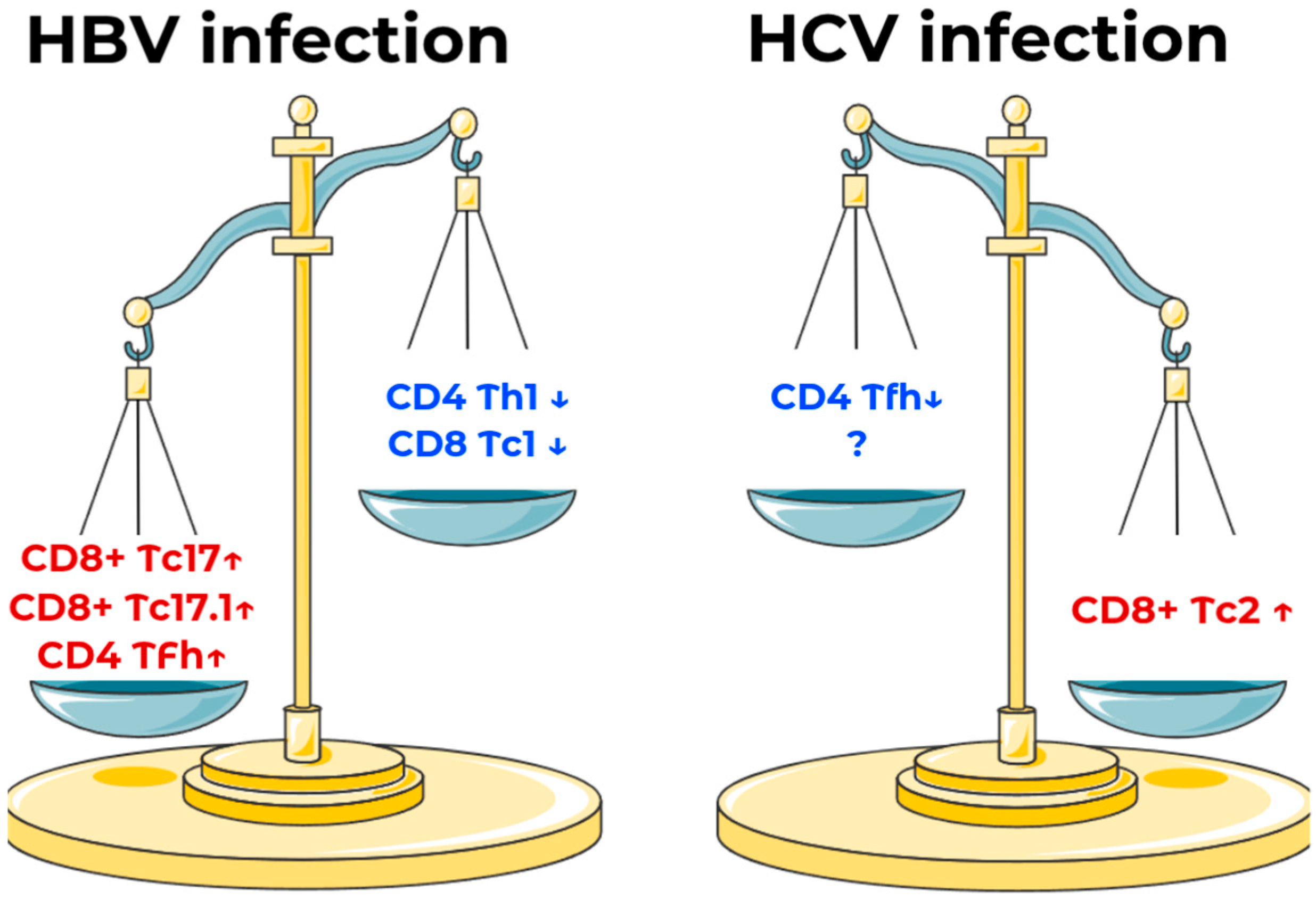 Ijms 26 07761 g004 Ijms 26 07761 g004