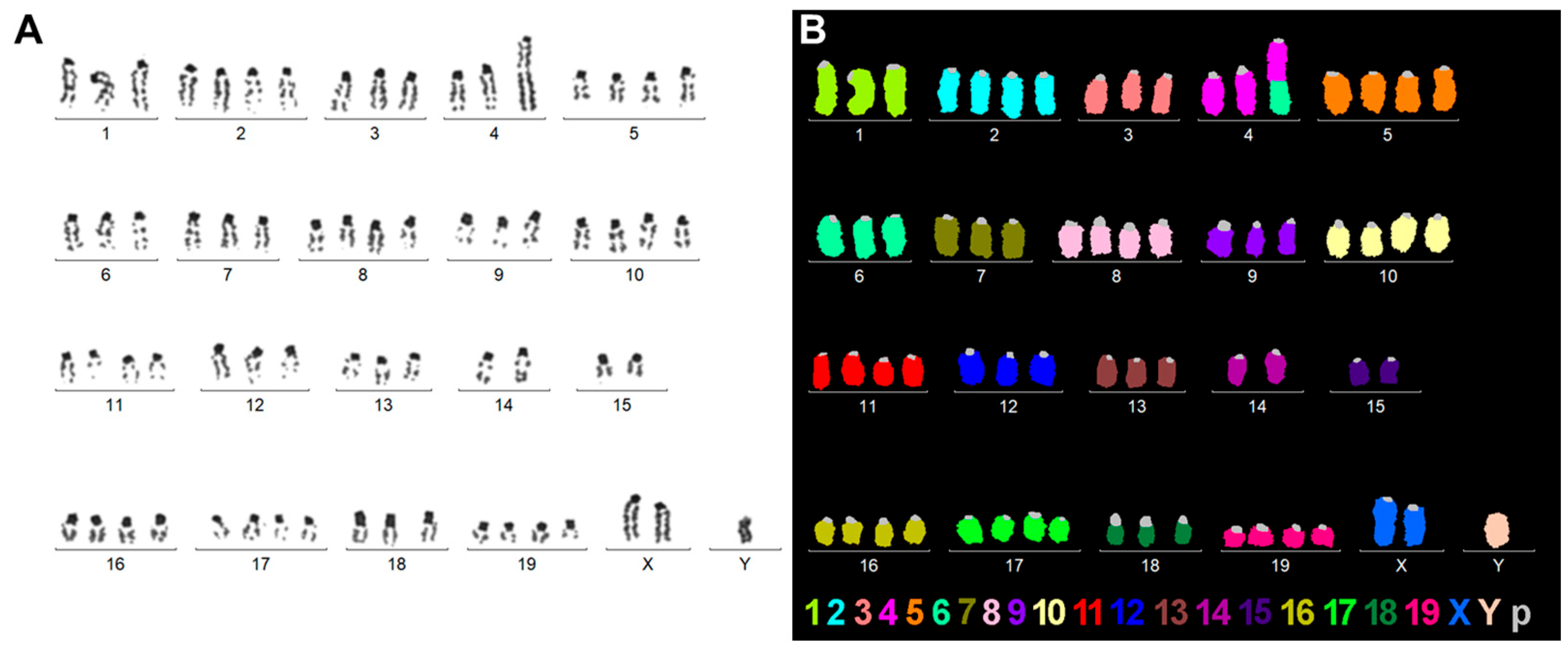 Ijms 26 07764 g004 Ijms 26 07764 g004