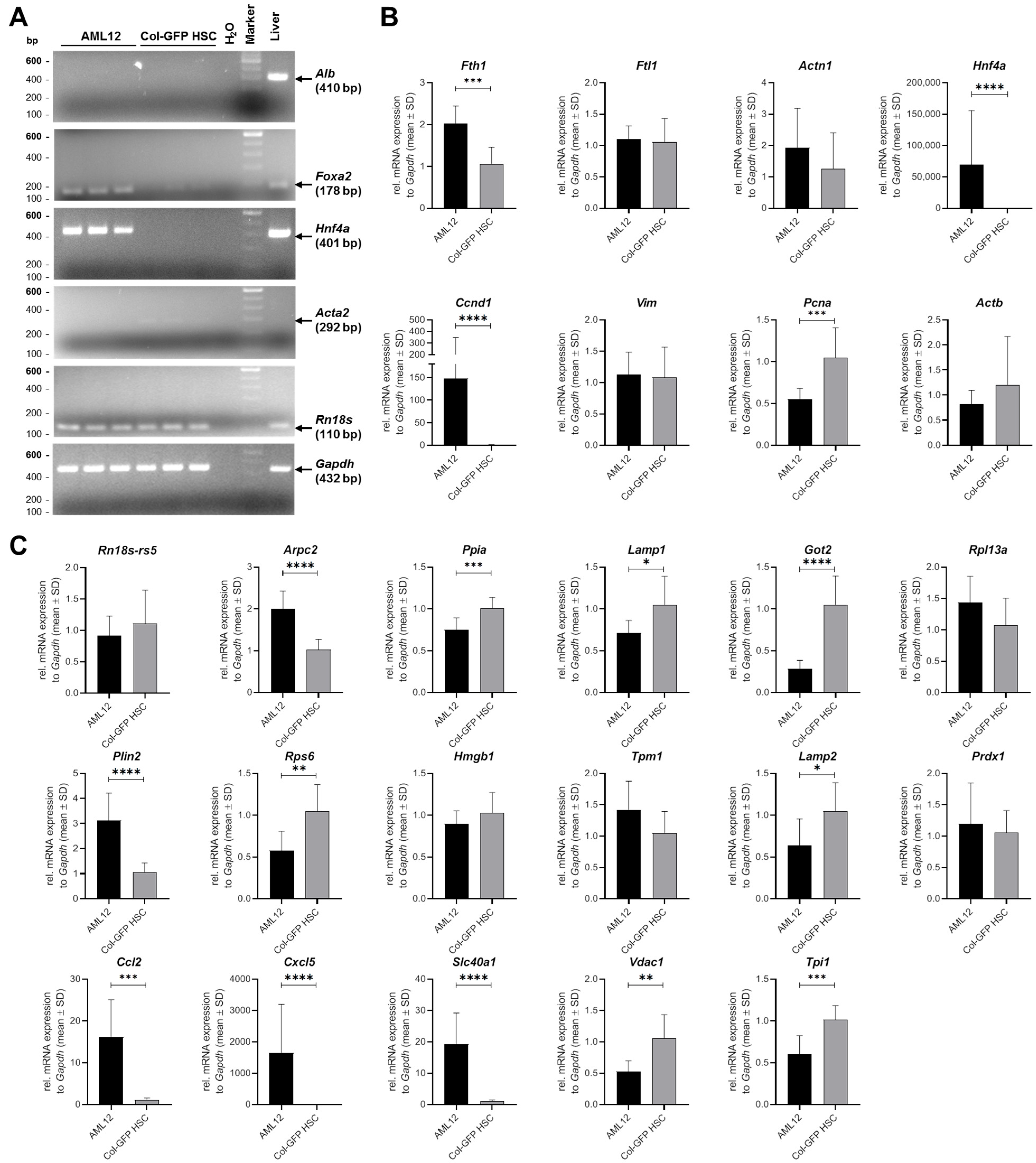 Ijms 26 07764 g005 Ijms 26 07764 g005