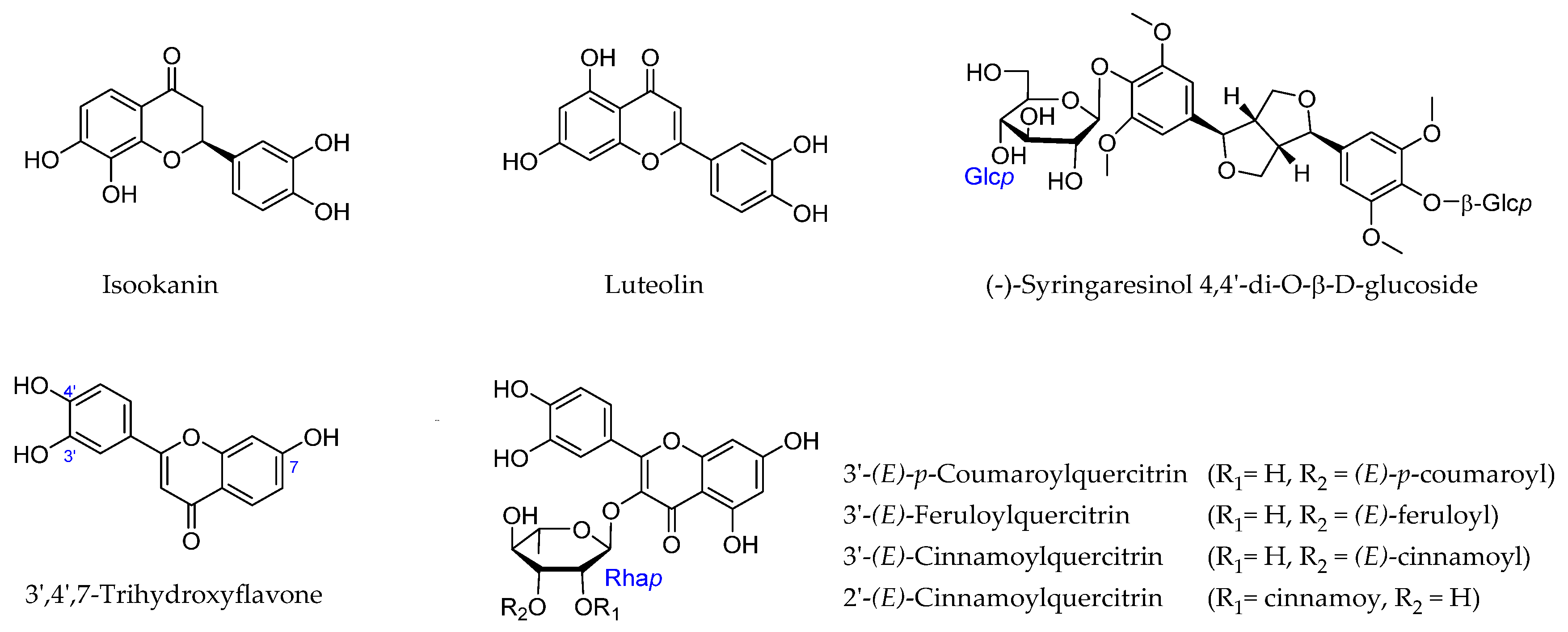Ijms 26 07778 g001 Ijms 26 07778 g001