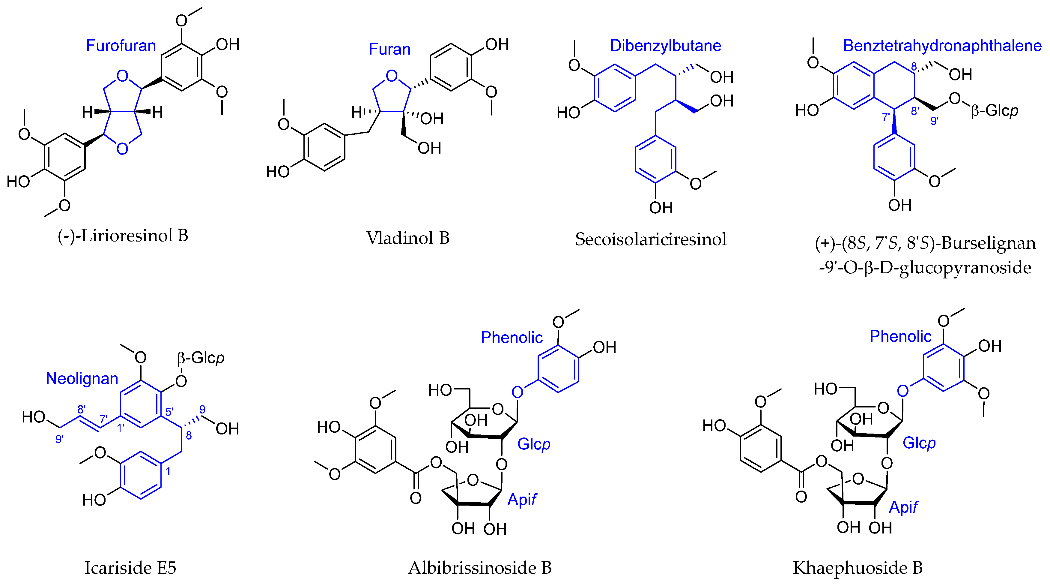Ijms 26 07778 g002 Ijms 26 07778 g002