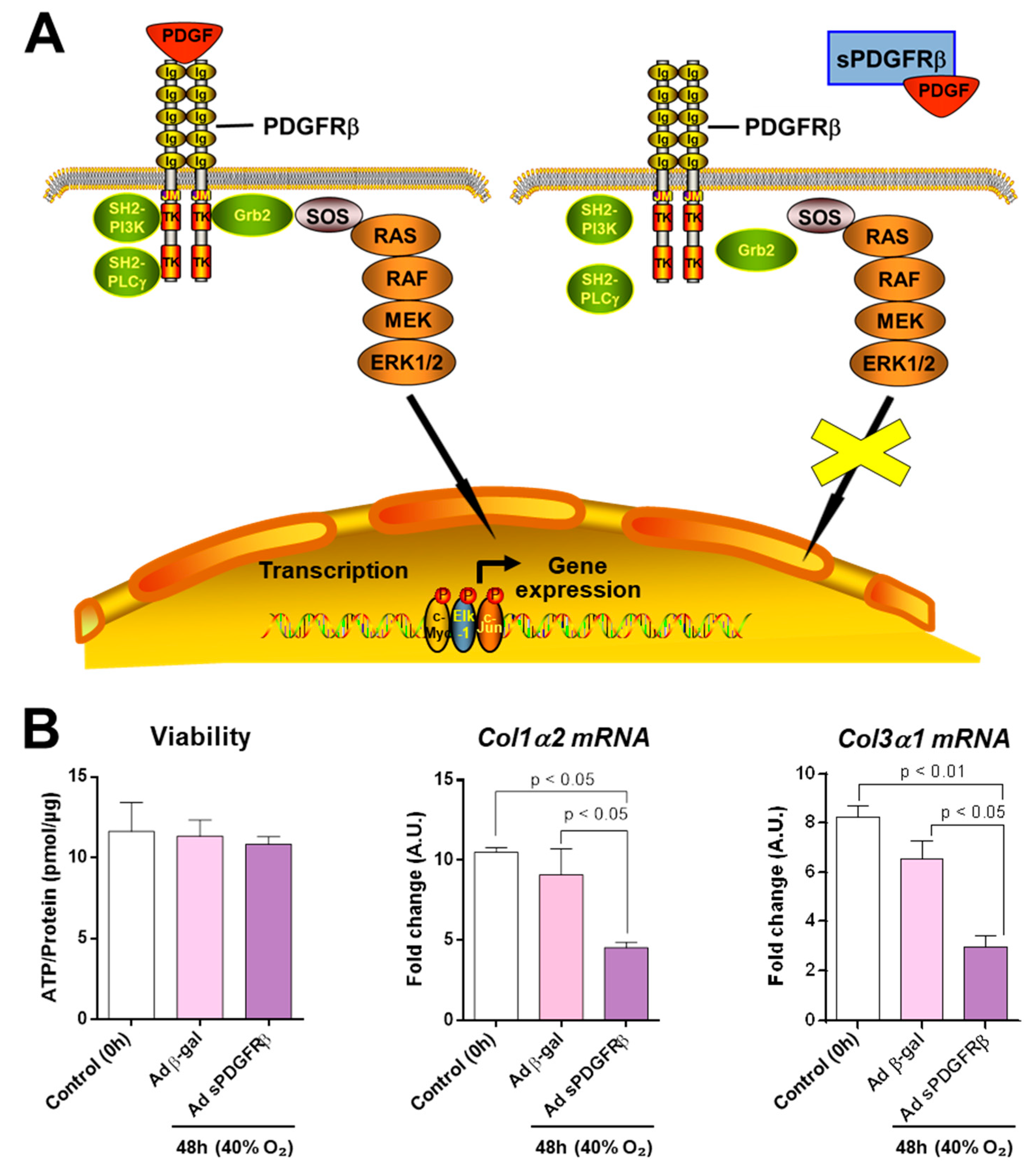 Ijms 26 07780 g006 Ijms 26 07780 g006