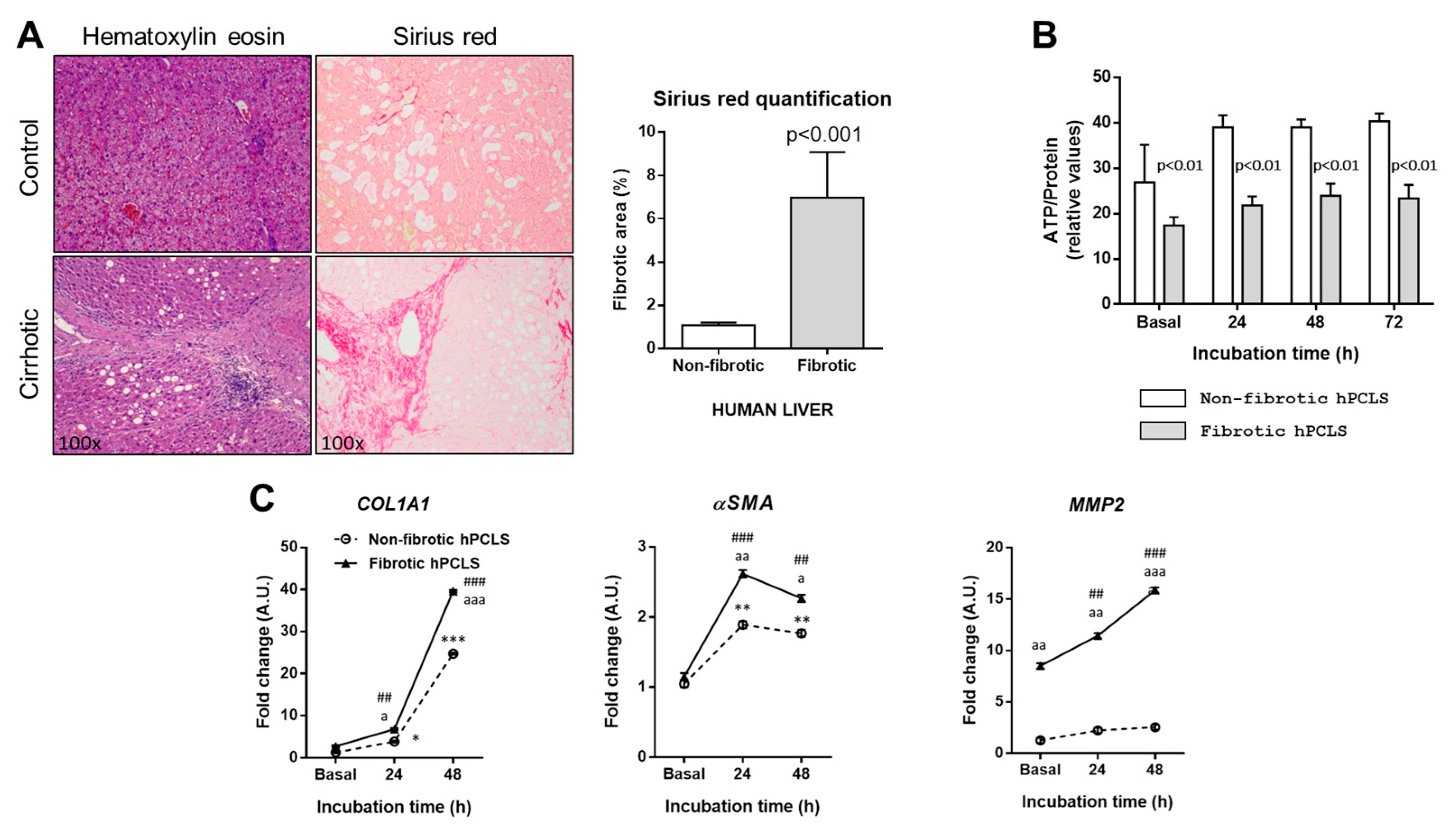 Ijms 26 07780 g007 Ijms 26 07780 g007