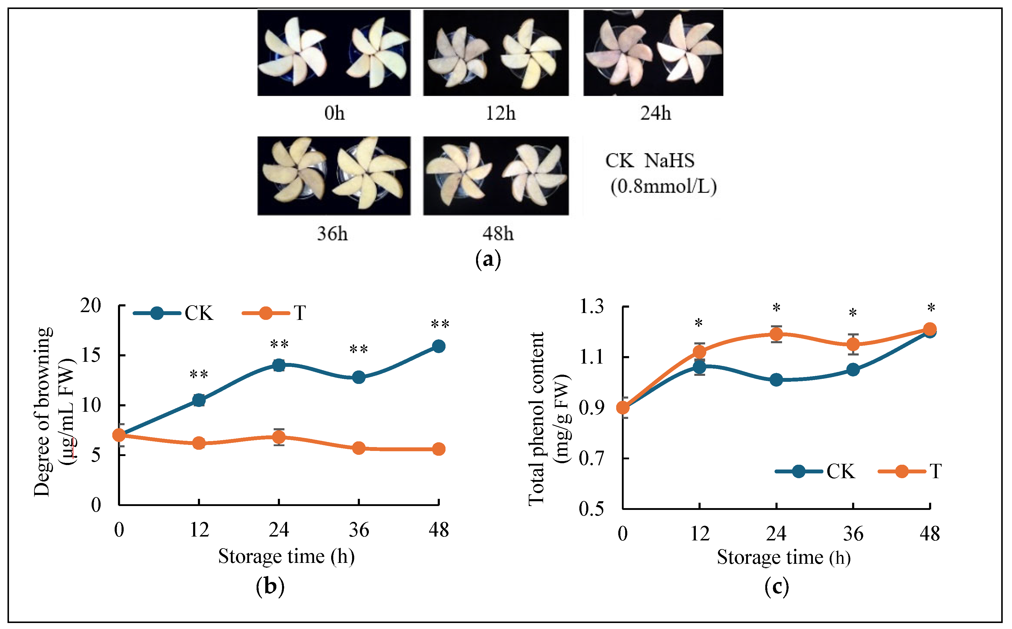 Ijms 26 07785 g001 Ijms 26 07785 g001