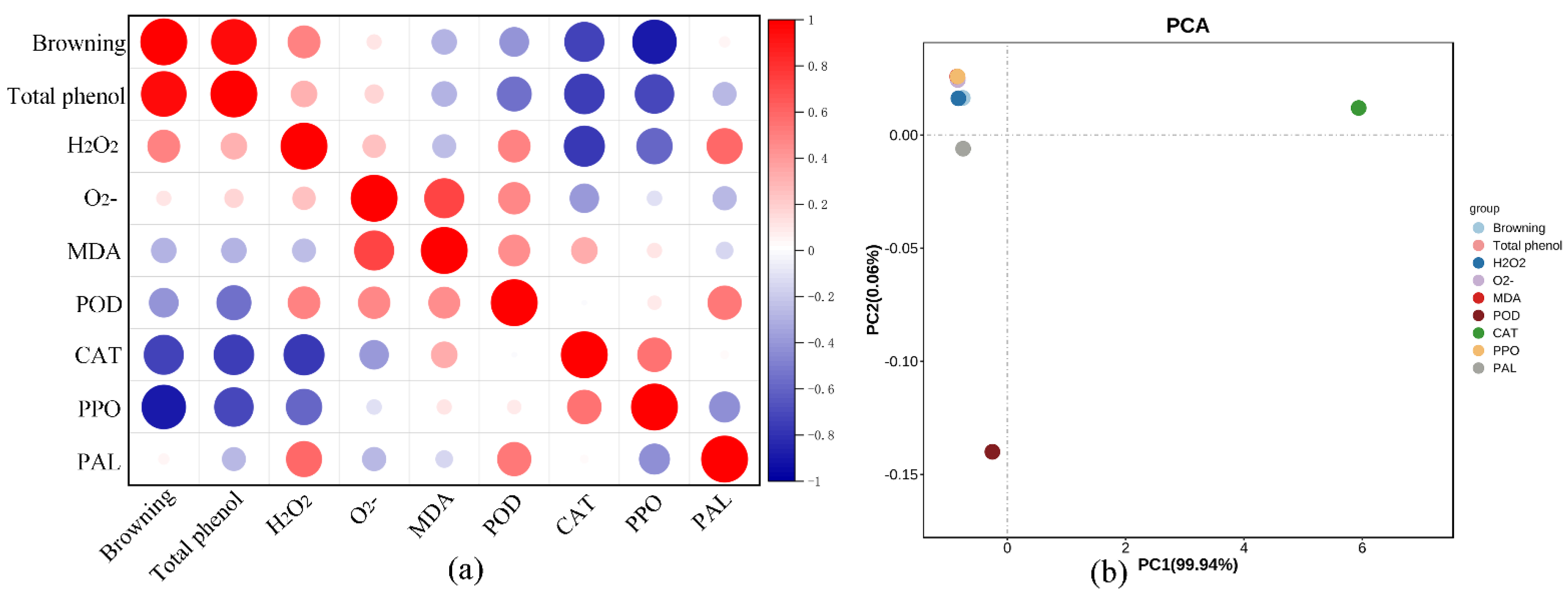 Ijms 26 07785 g004 Ijms 26 07785 g004
