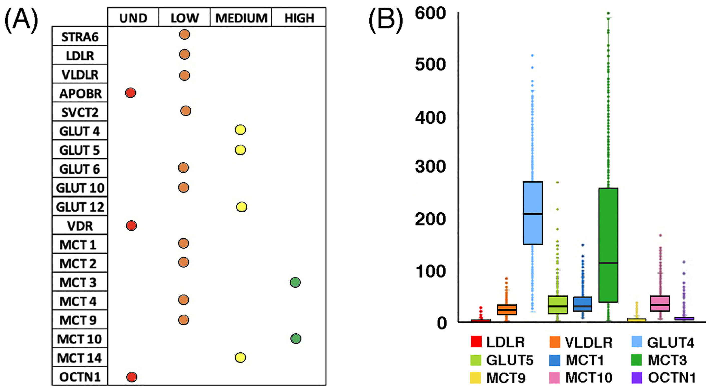Ijms 26 07787 g009 Ijms 26 07787 g009