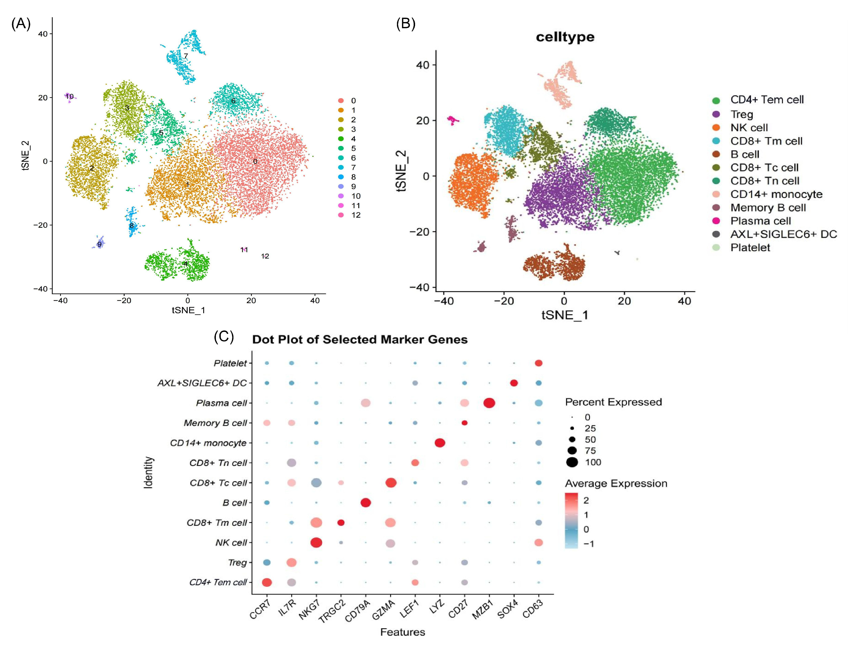 Ijms 26 07806 g002 Ijms 26 07806 g002