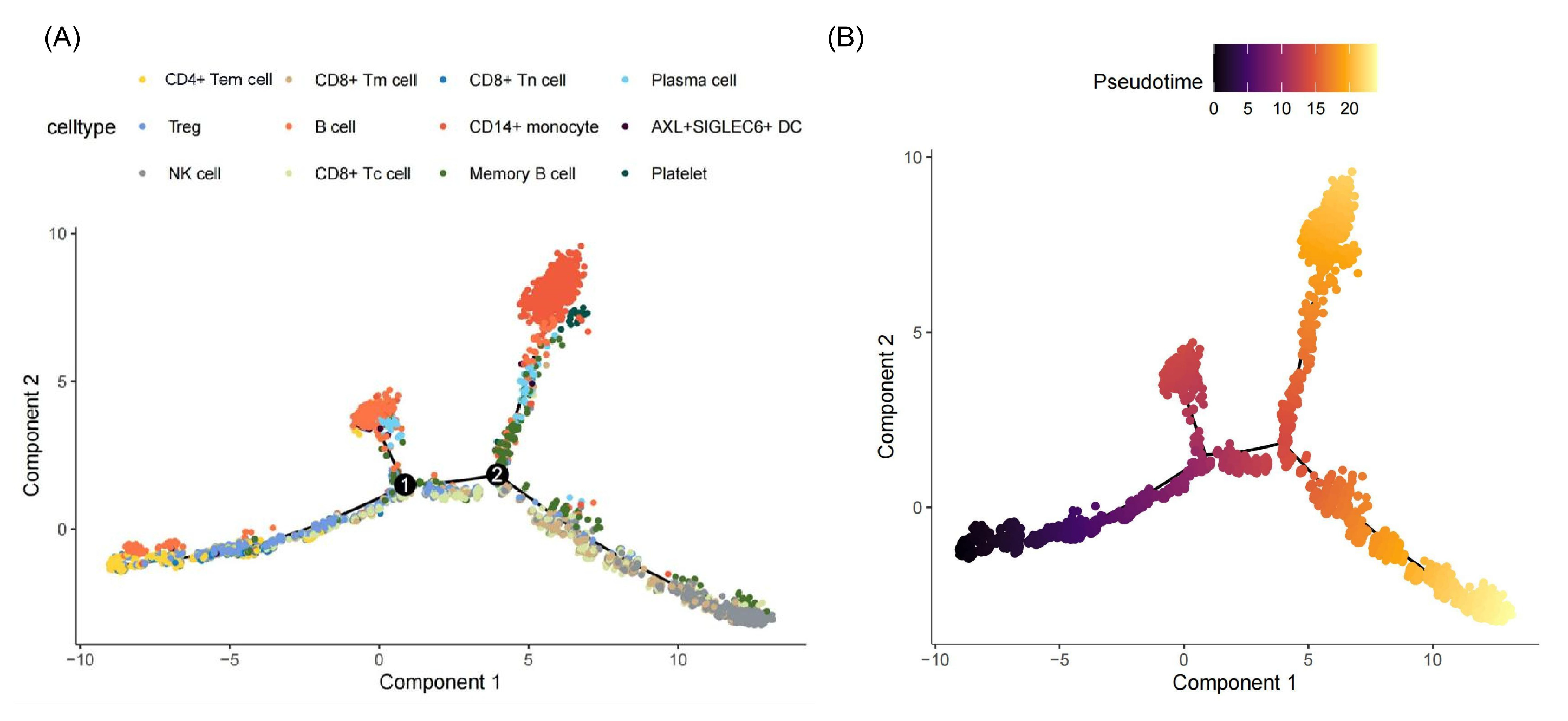 Ijms 26 07806 g004 Ijms 26 07806 g004