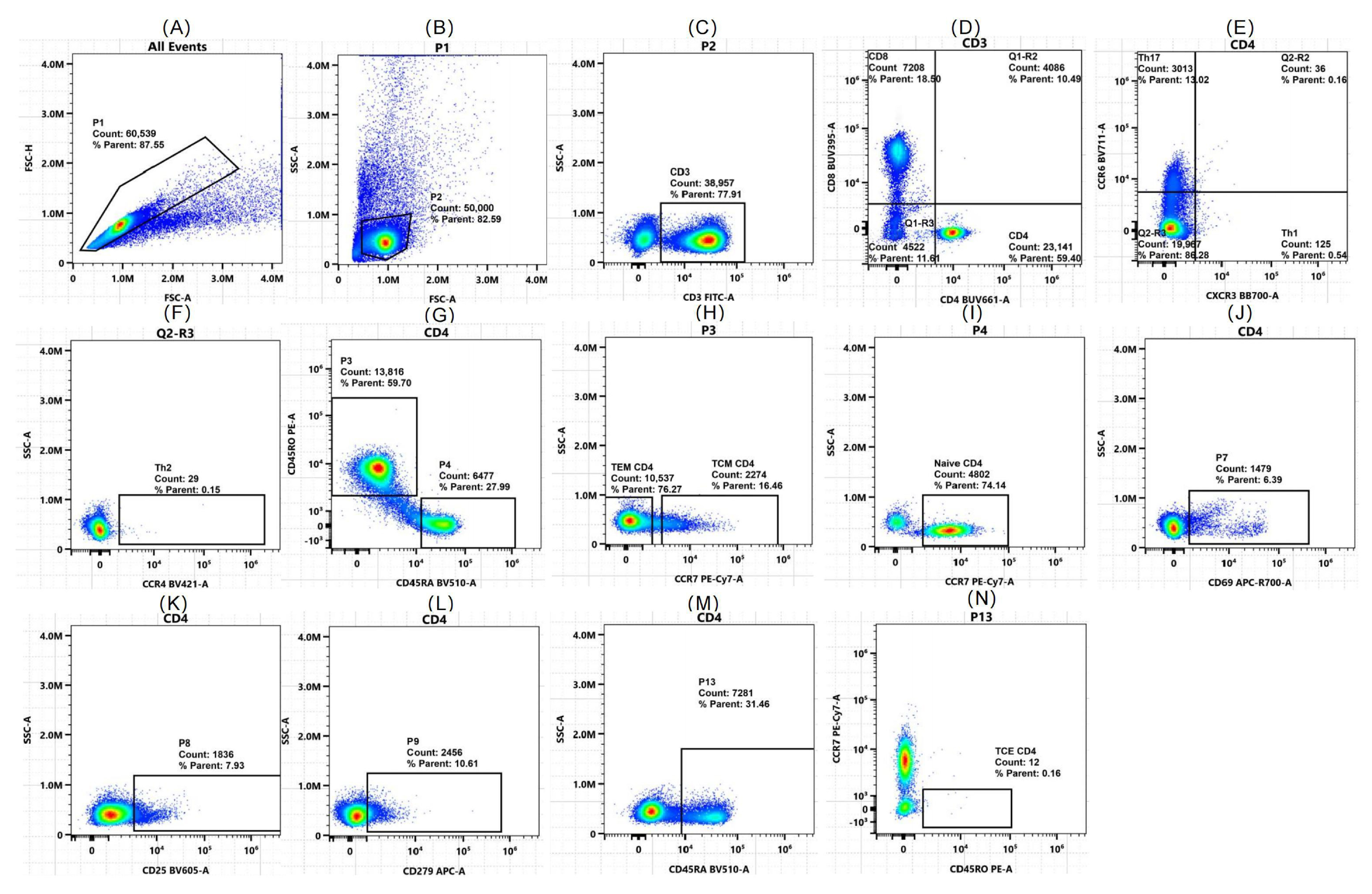 Ijms 26 07806 g005 Ijms 26 07806 g005