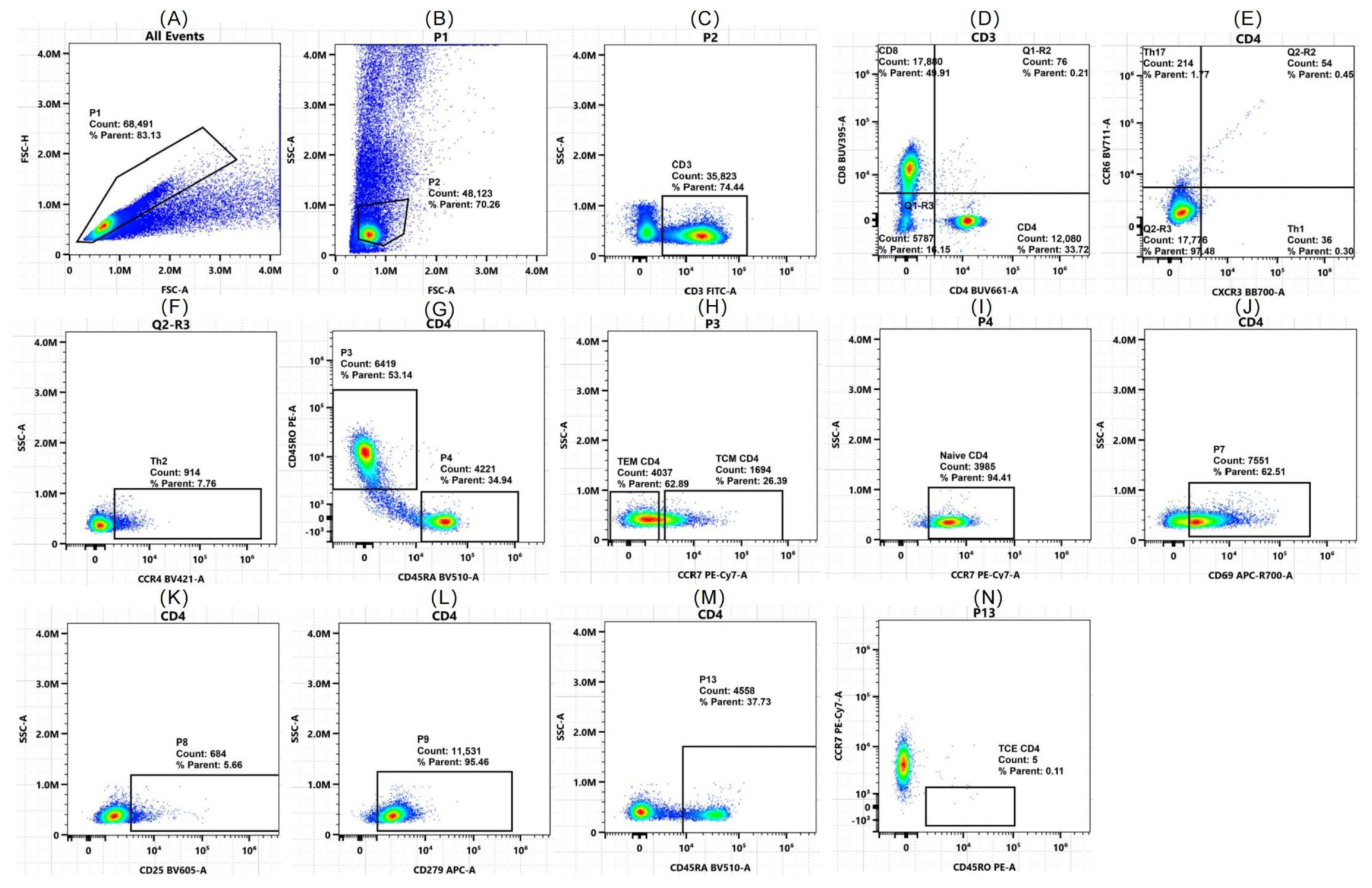 Ijms 26 07806 g006 Ijms 26 07806 g006