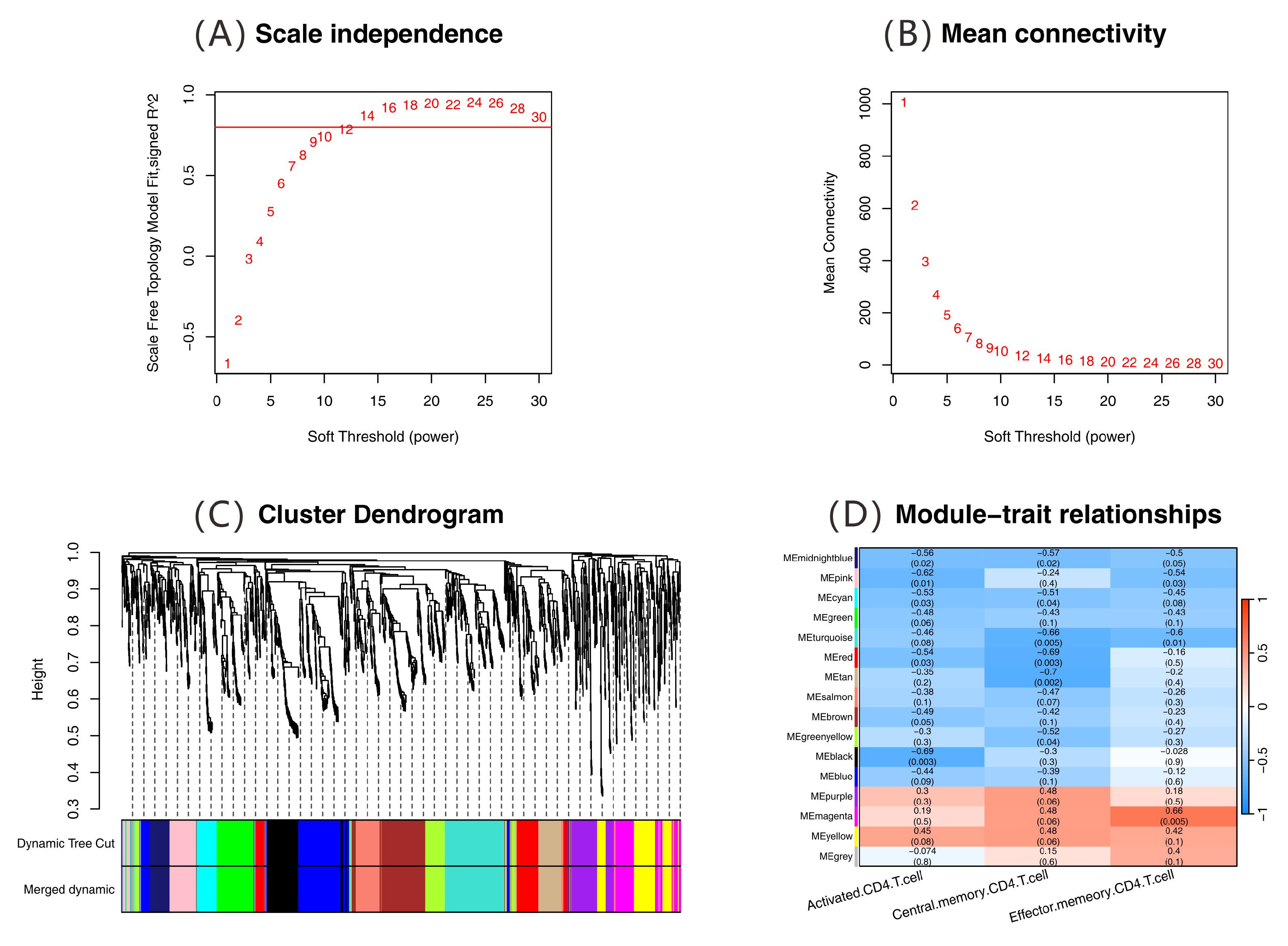 Ijms 26 07806 g008 Ijms 26 07806 g008