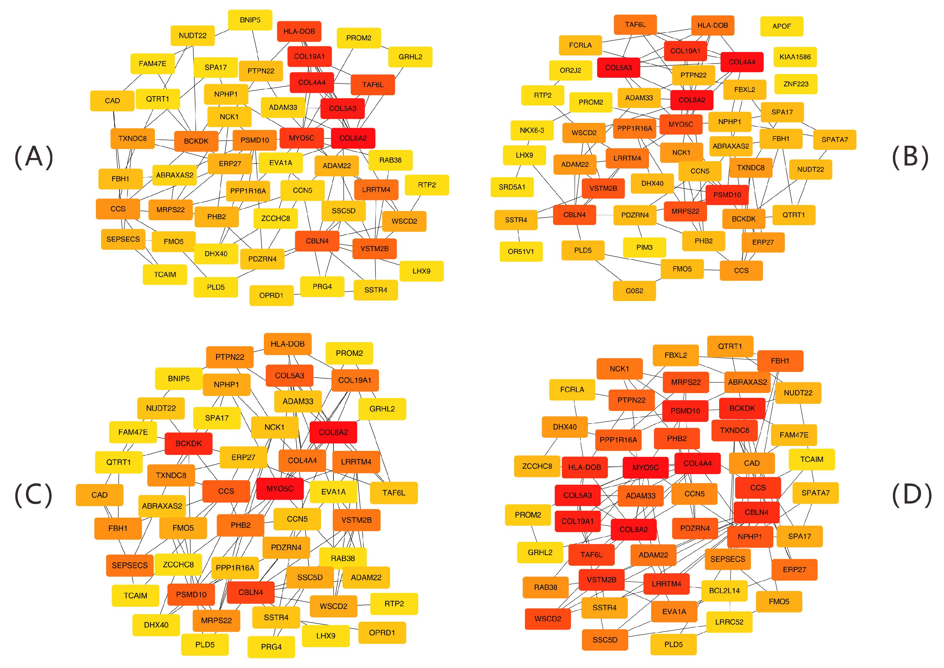 Ijms 26 07806 g009 Ijms 26 07806 g009