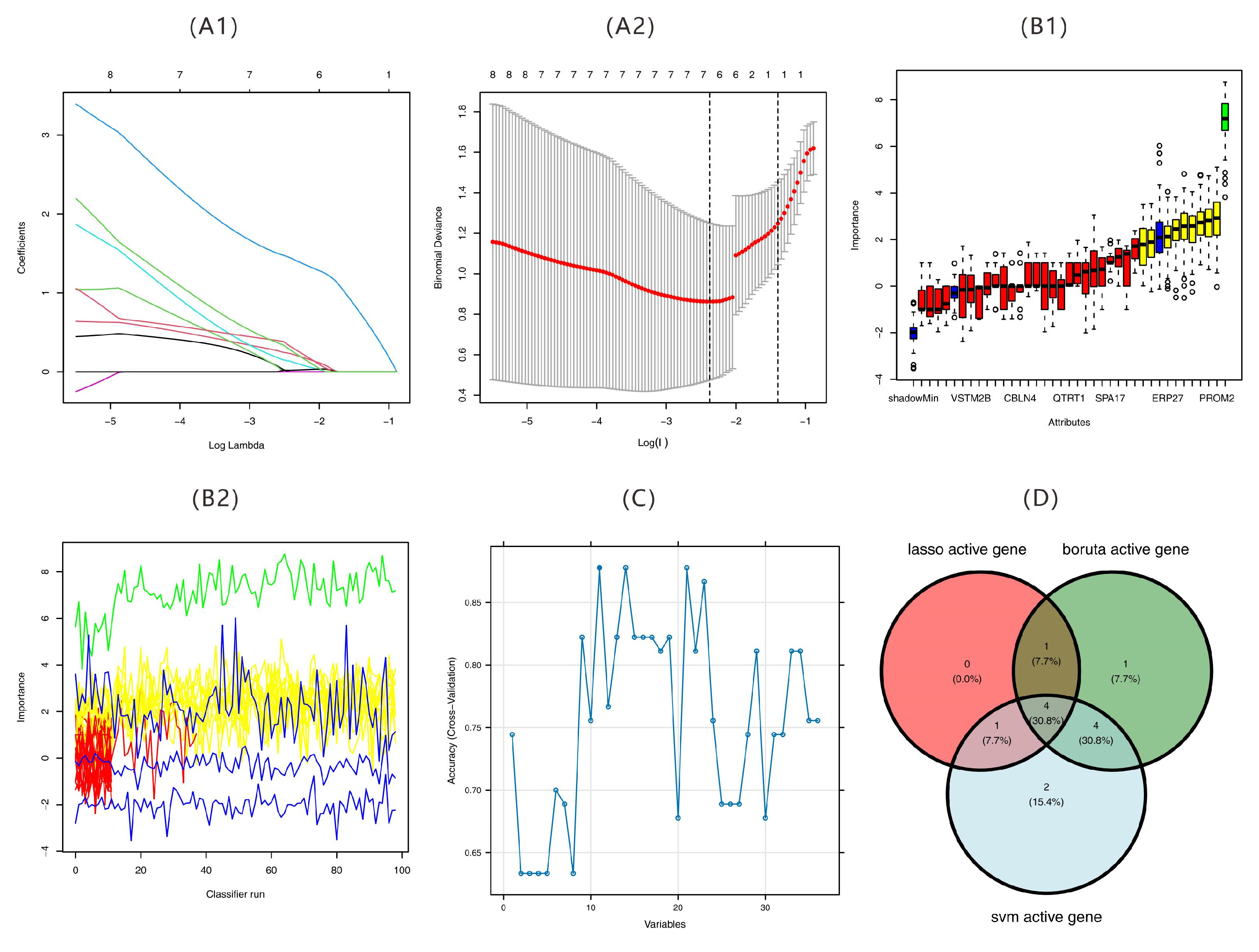 Ijms 26 07806 g011 Ijms 26 07806 g011