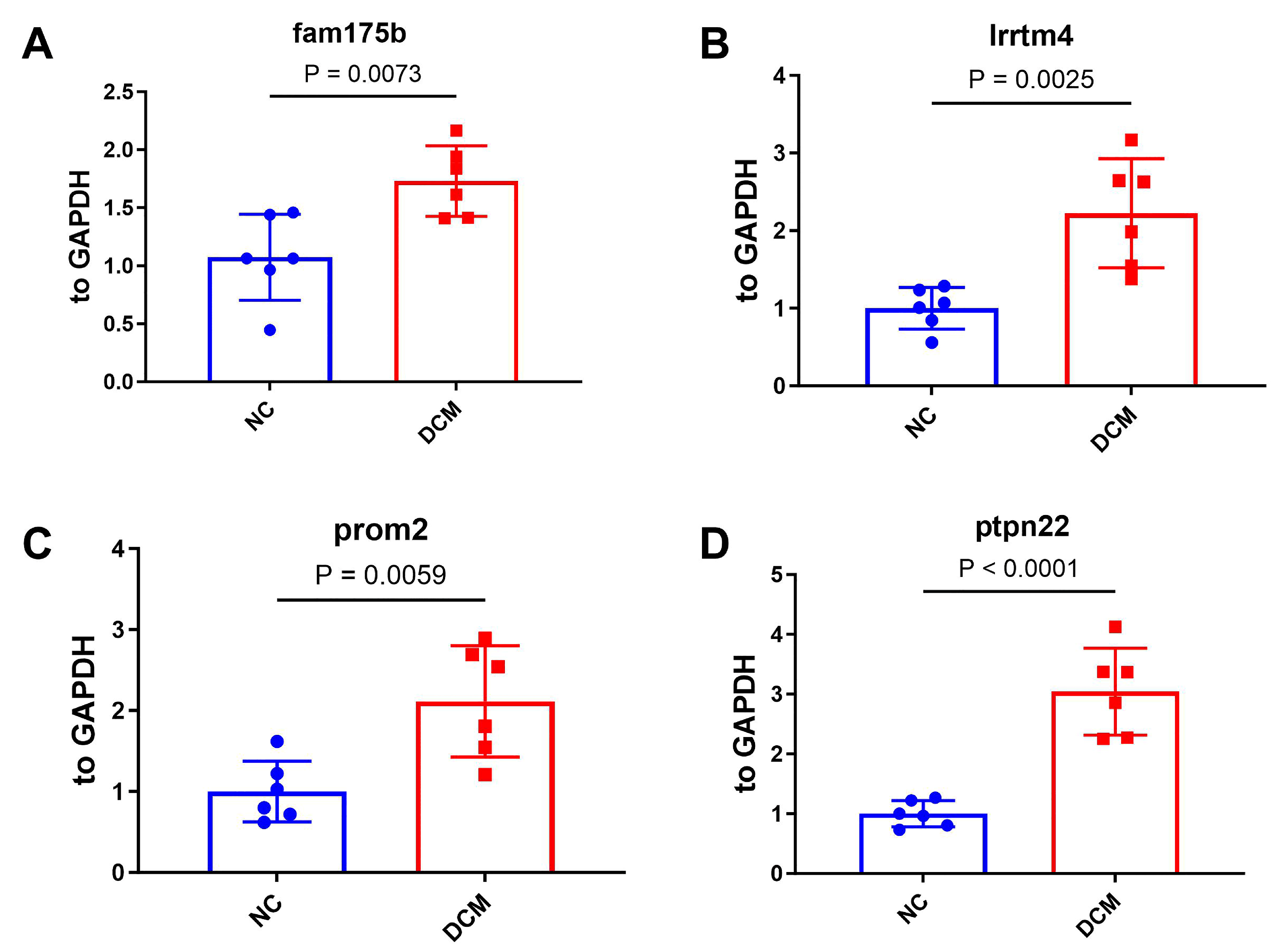 Ijms 26 07806 g012 Ijms 26 07806 g012