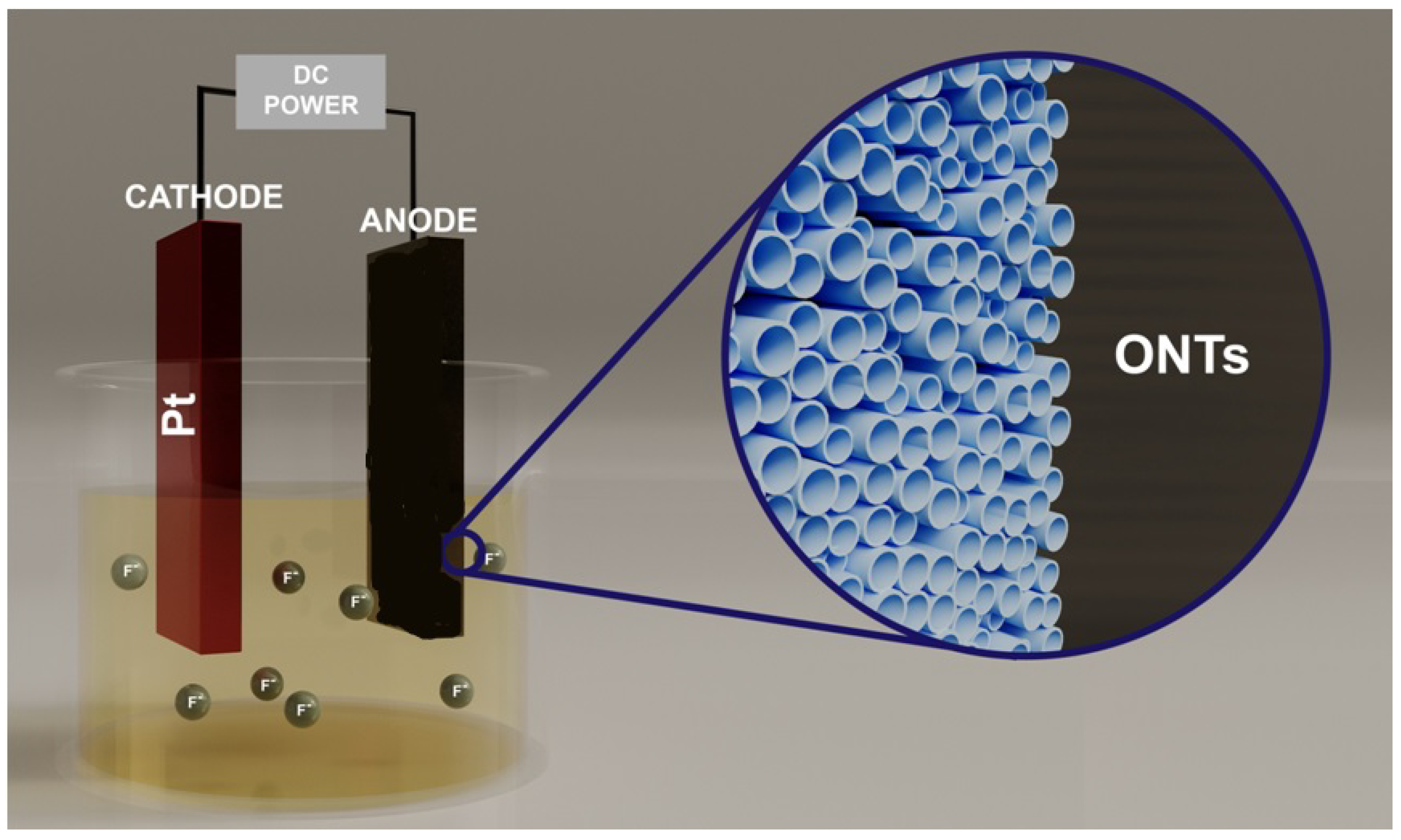 Ijms 26 07809 g001 Ijms 26 07809 g001