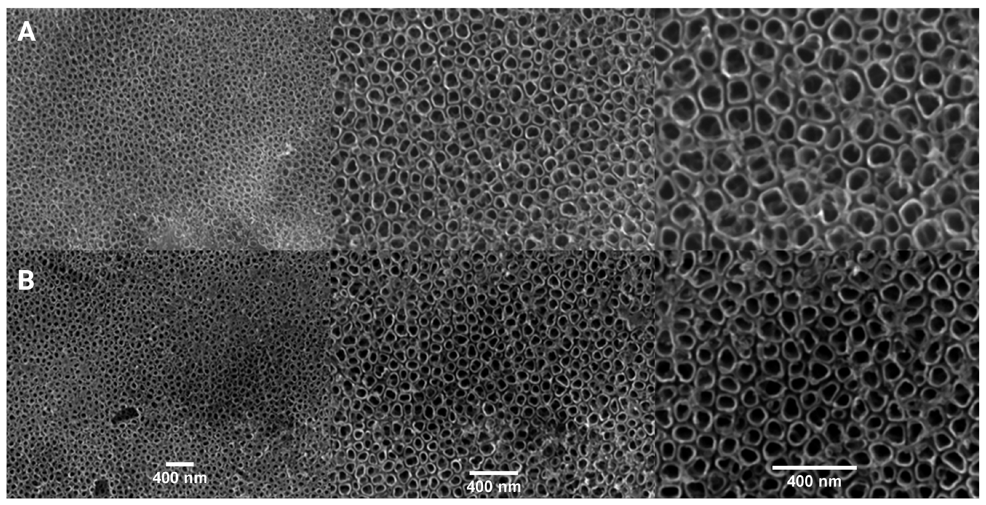 Ijms 26 07809 g002 Ijms 26 07809 g002