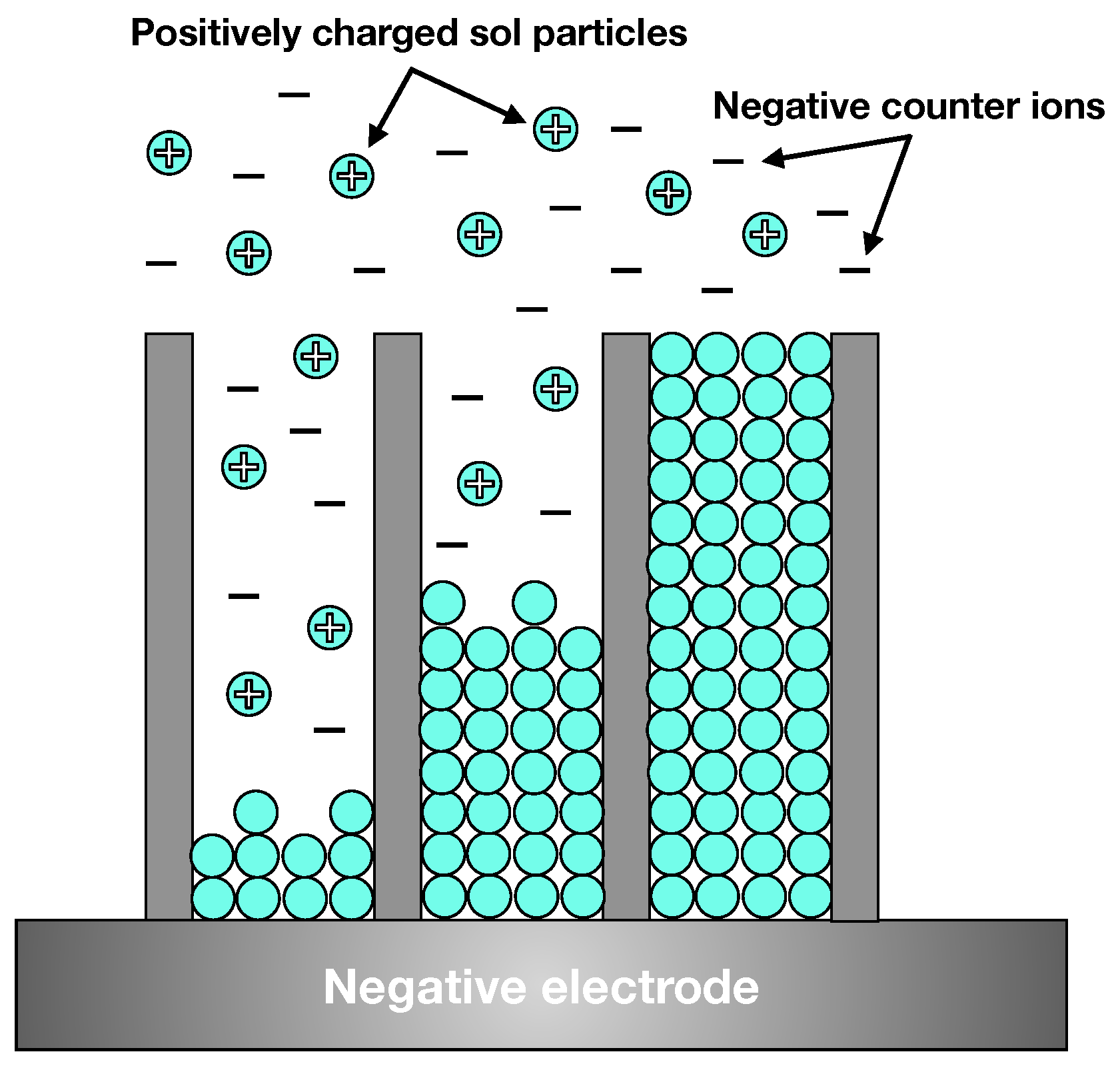 Ijms 26 07809 g004 Ijms 26 07809 g004
