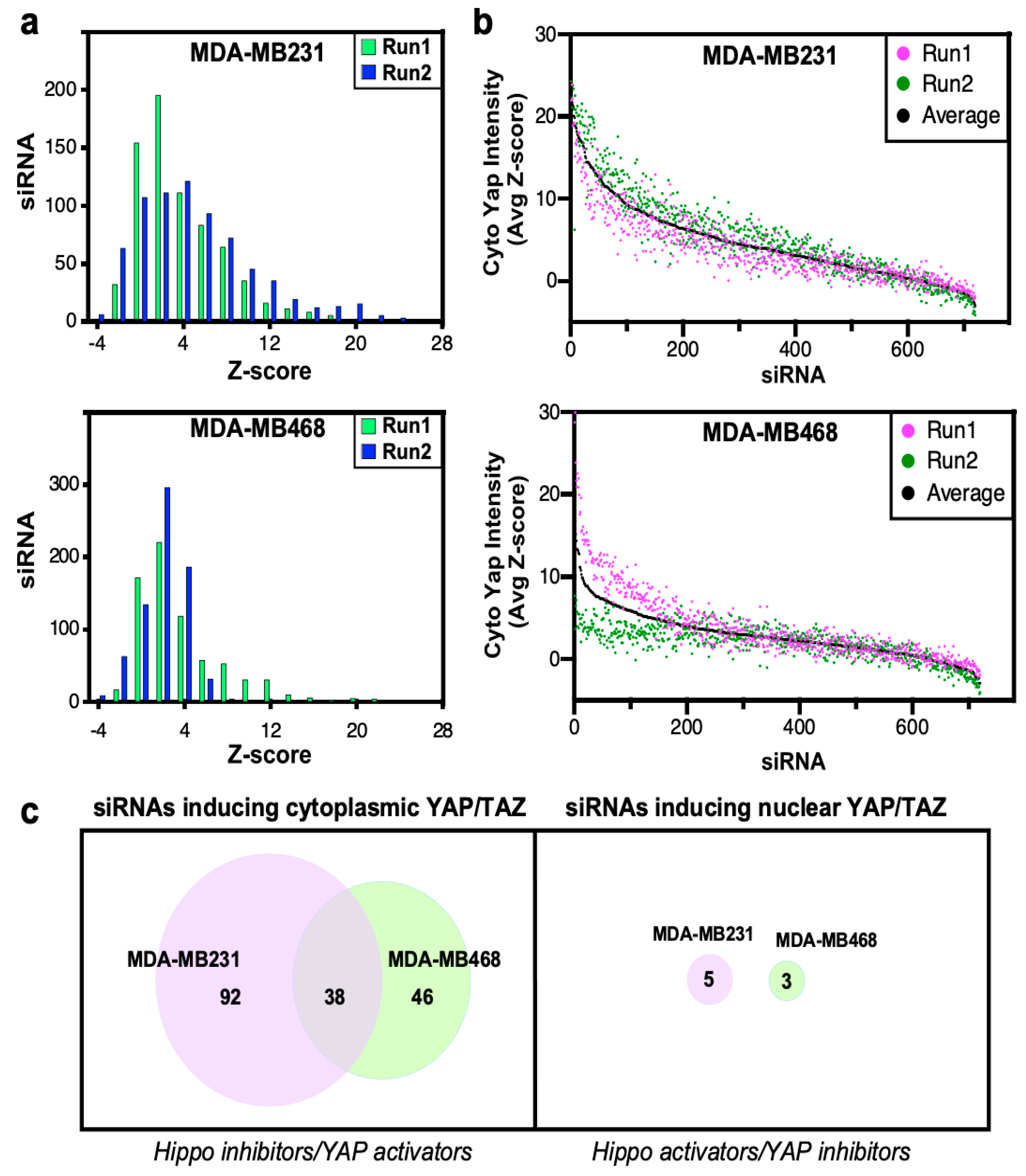 Ijms 26 07810 g002 Ijms 26 07810 g002