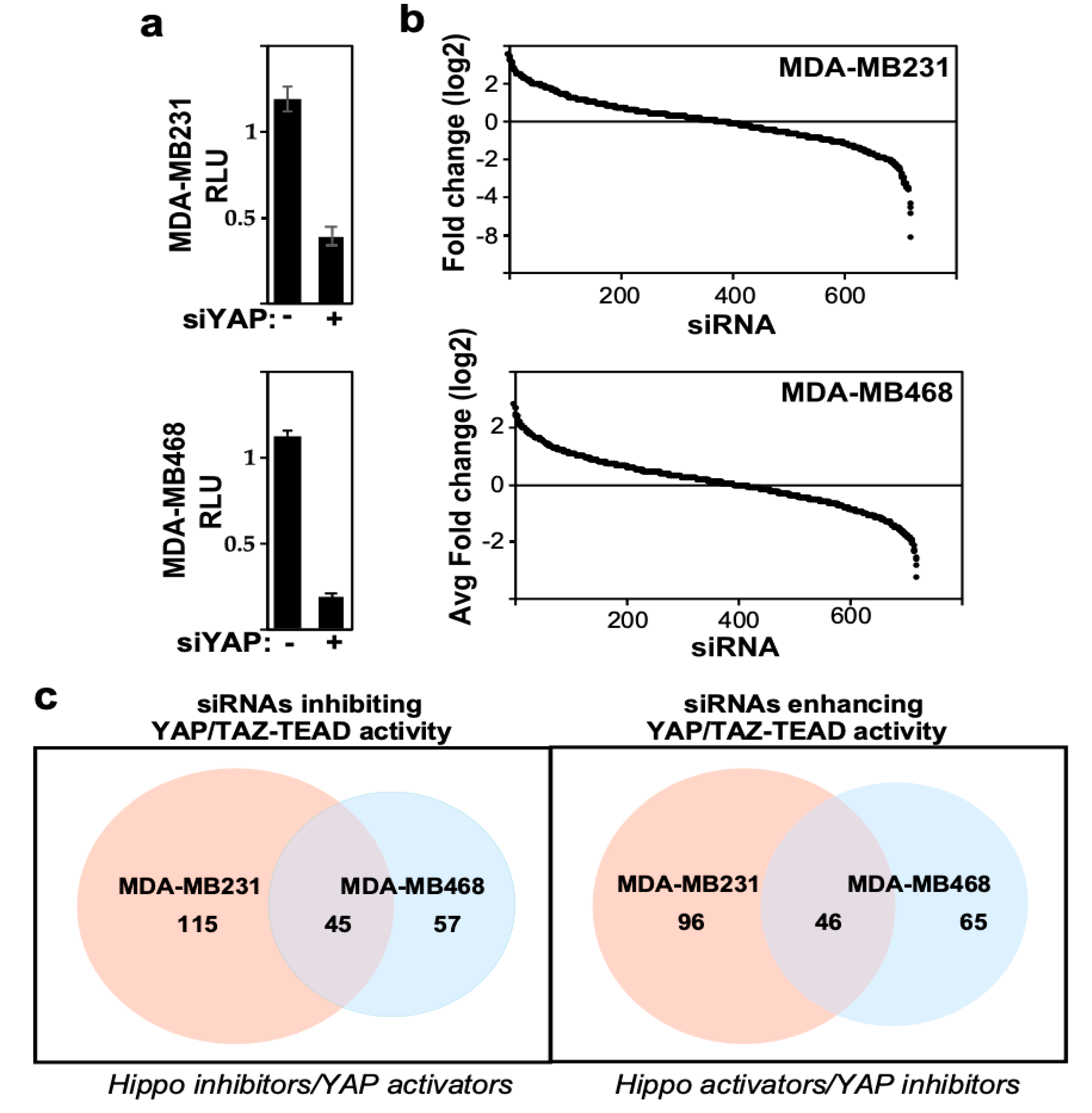 Ijms 26 07810 g003 Ijms 26 07810 g003