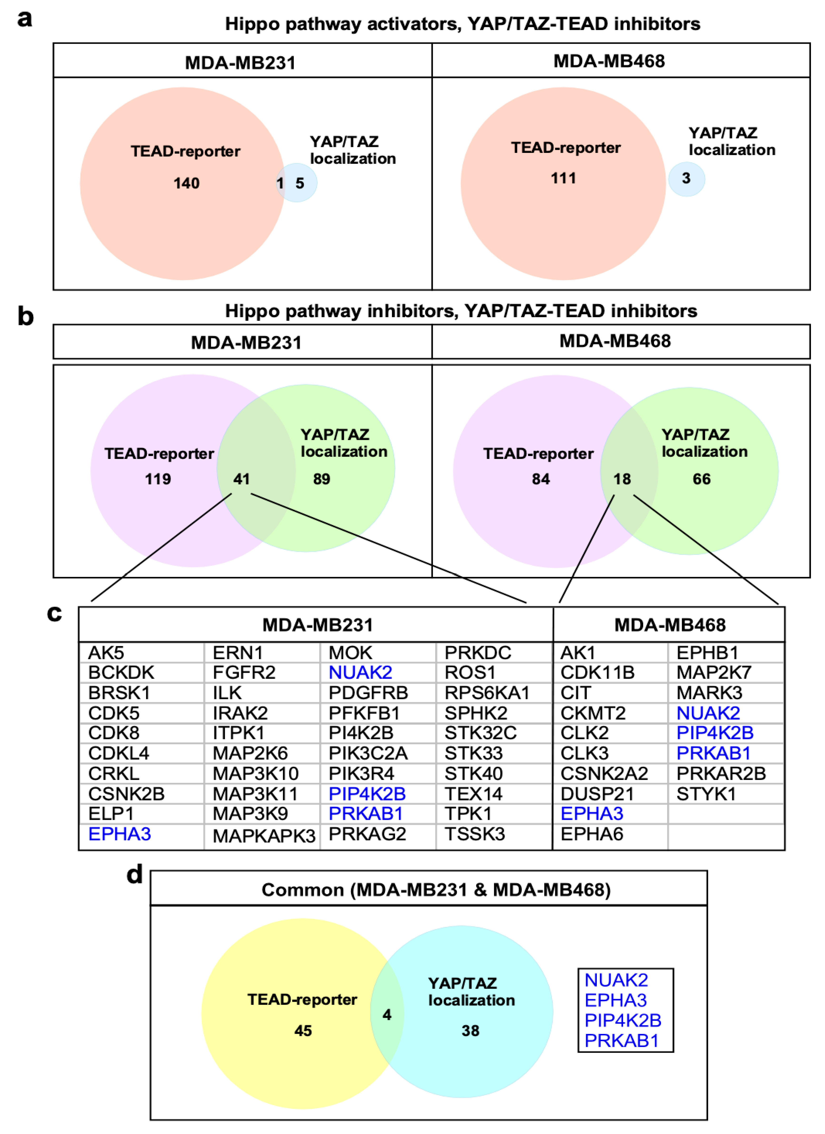 Ijms 26 07810 g004 Ijms 26 07810 g004