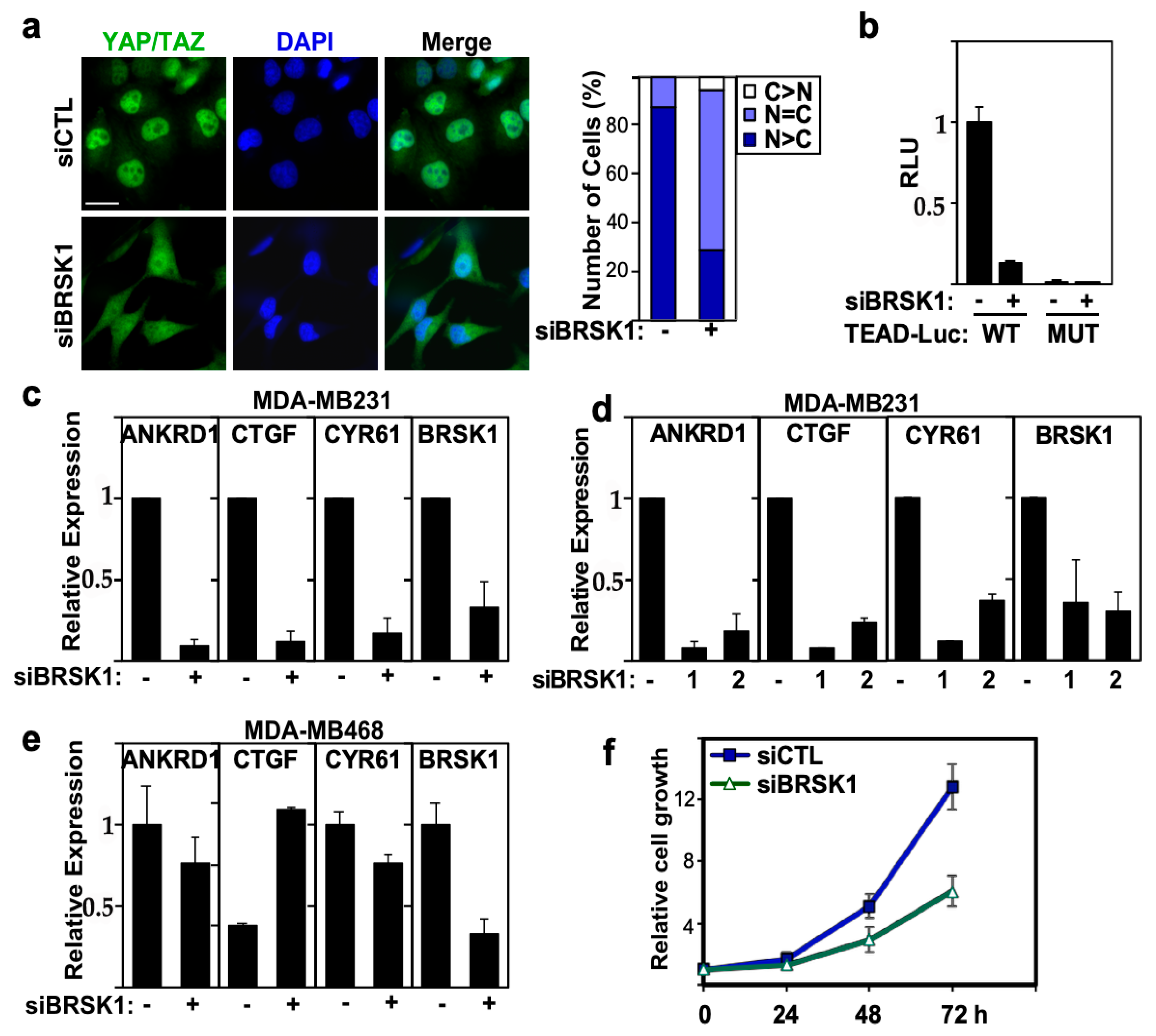 Ijms 26 07810 g005 Ijms 26 07810 g005