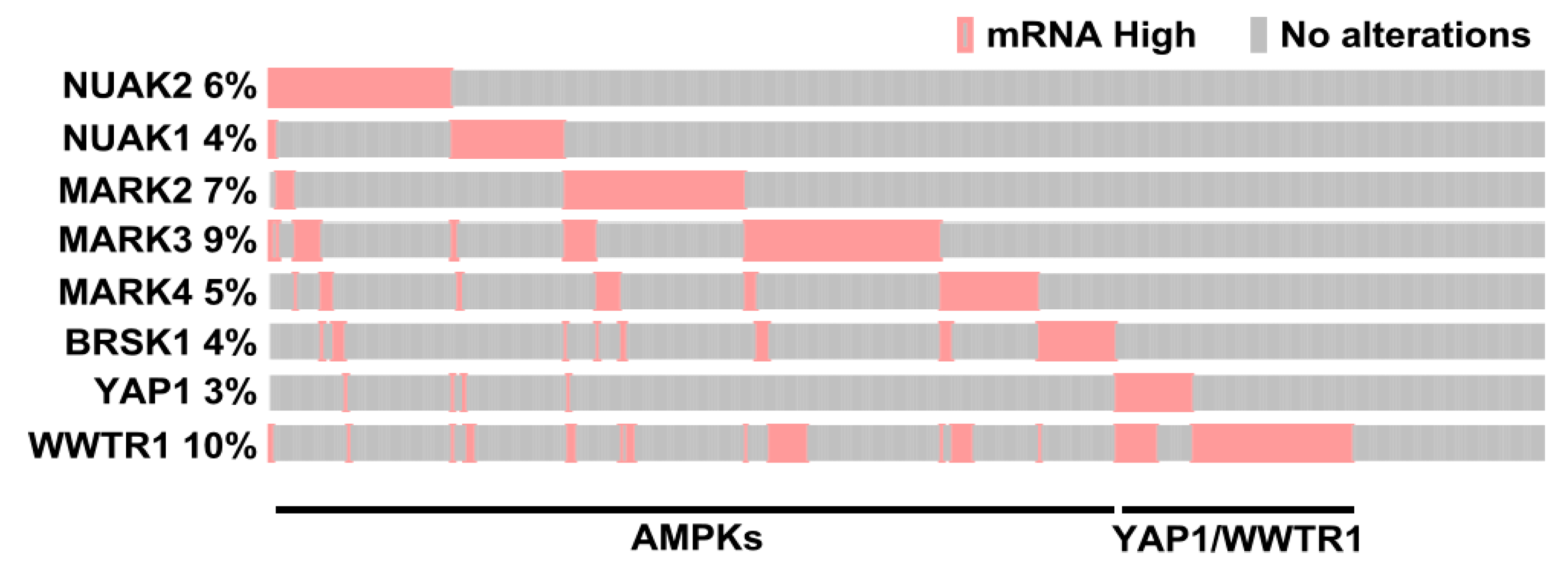 Ijms 26 07810 g006 Ijms 26 07810 g006