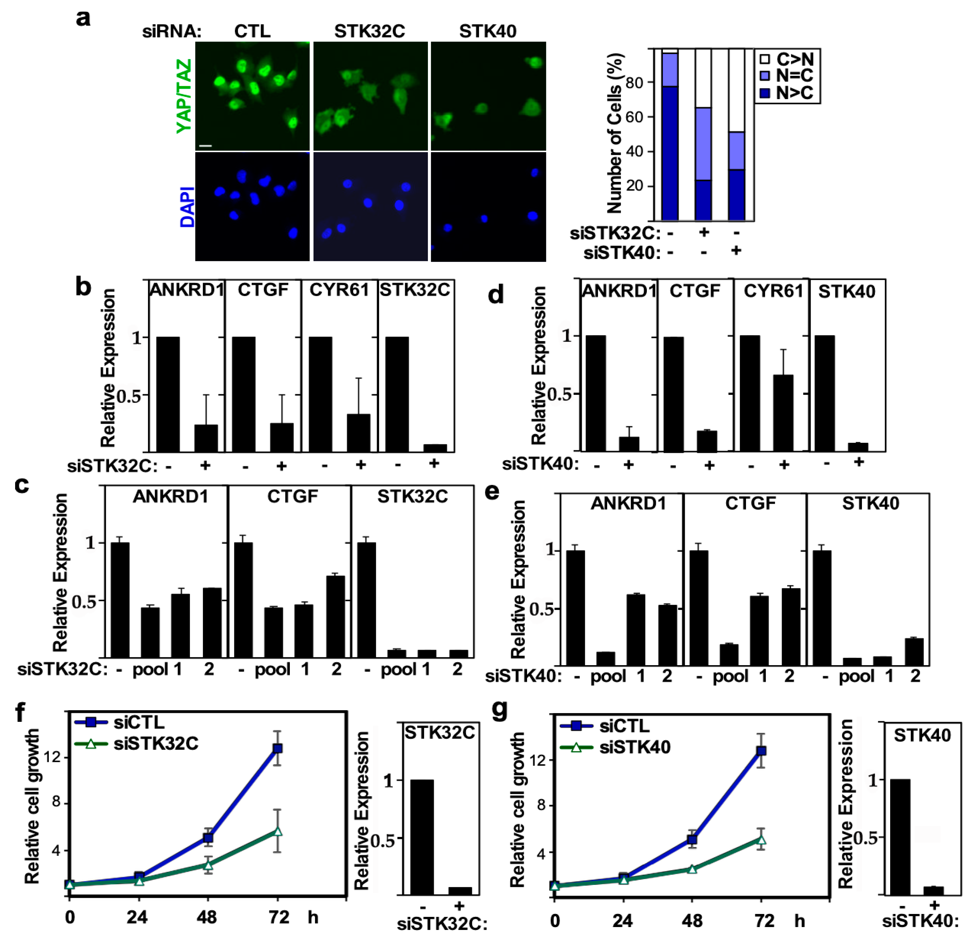 Ijms 26 07810 g007 Ijms 26 07810 g007