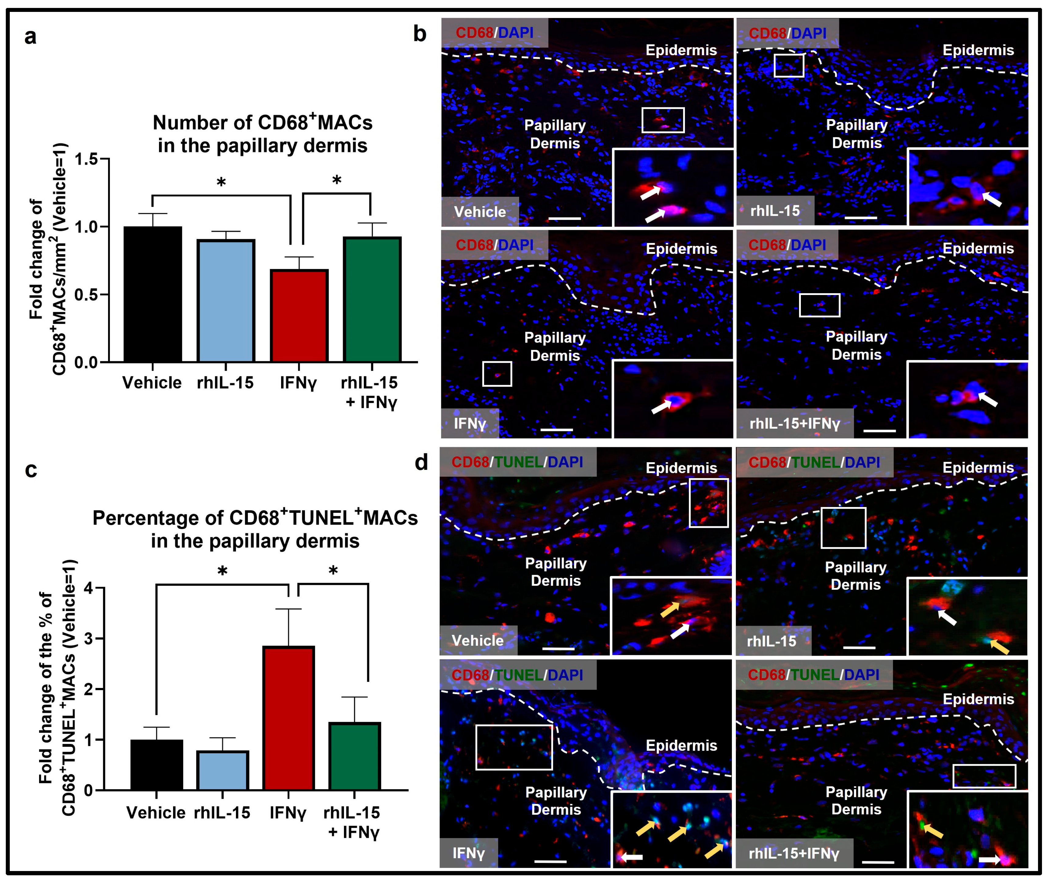 Ijms 26 07811 g001 Ijms 26 07811 g001