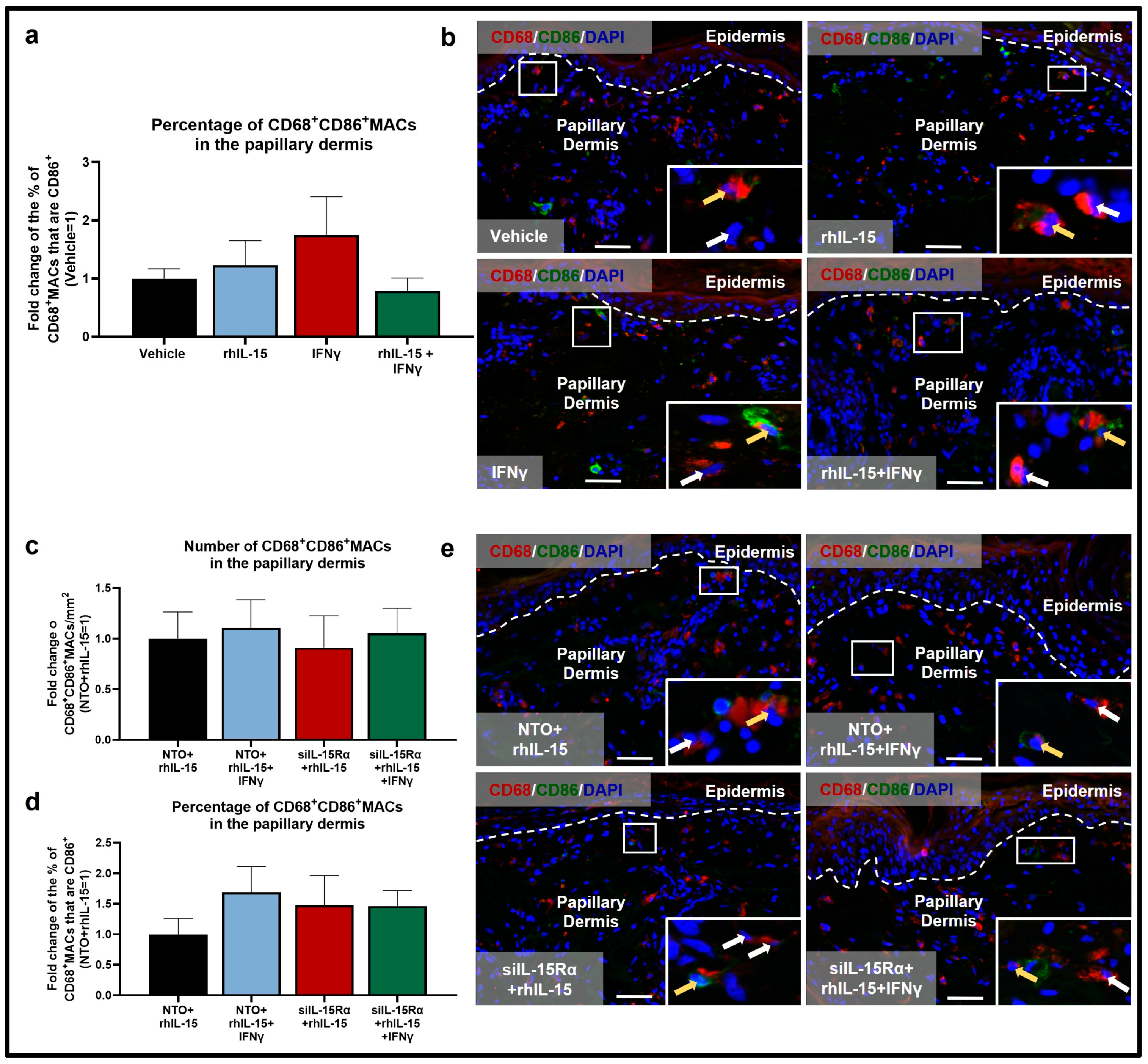 Ijms 26 07811 g003 Ijms 26 07811 g003