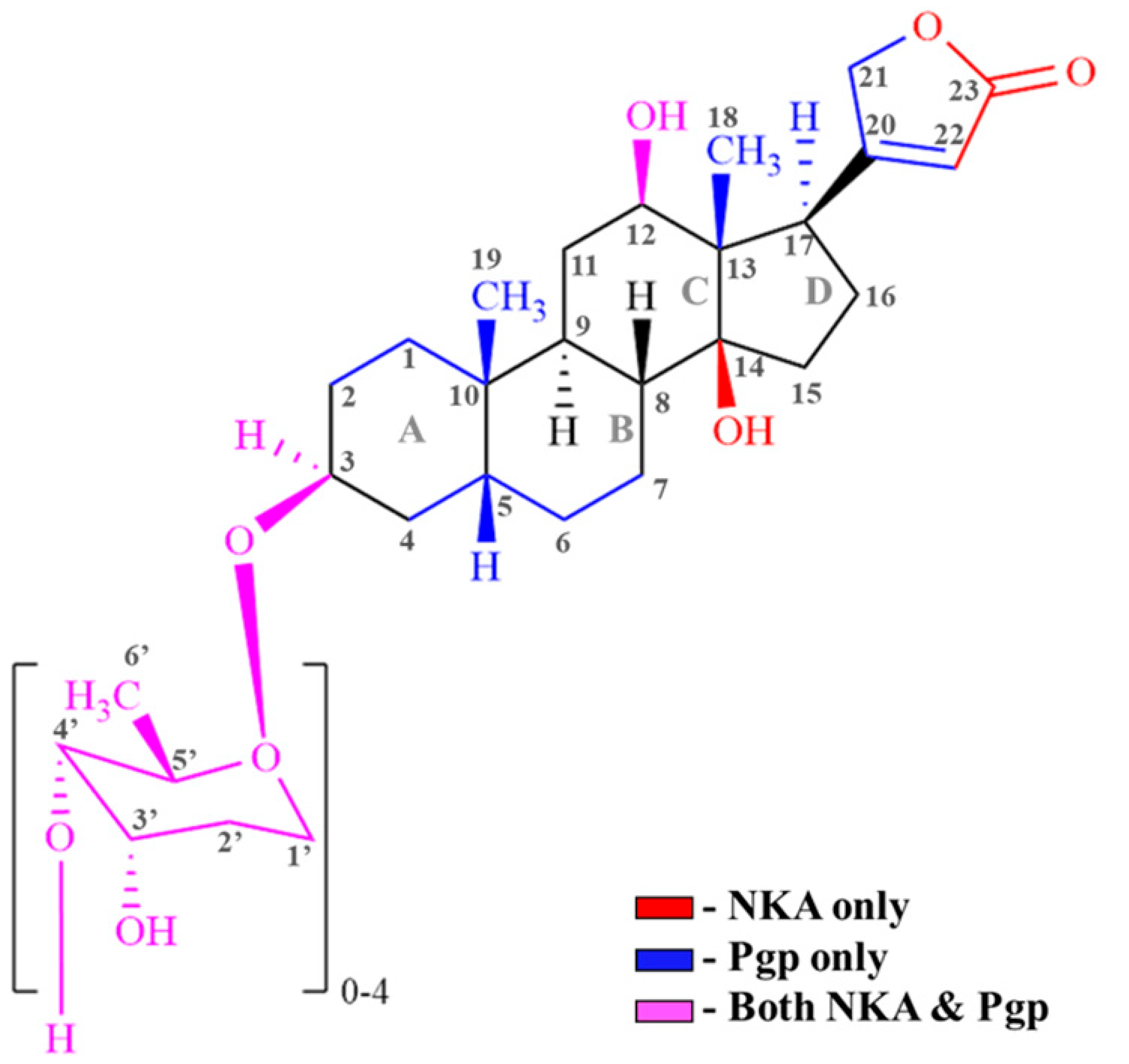 Ijms 26 07813 g007 Ijms 26 07813 g007